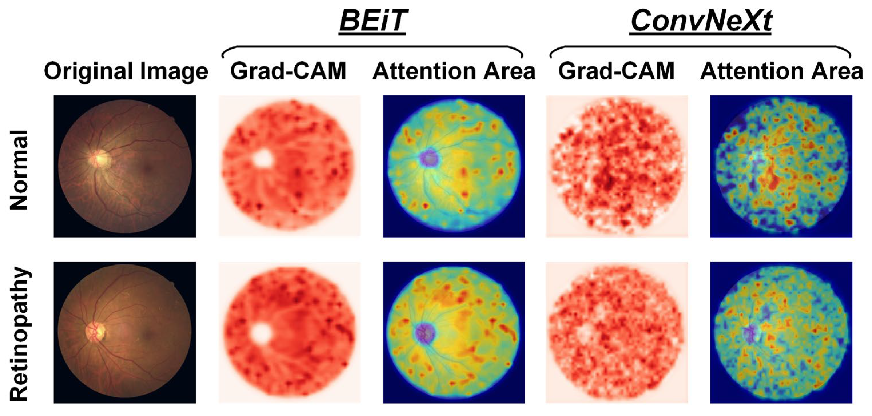 Bioengineering 10 00978 g008