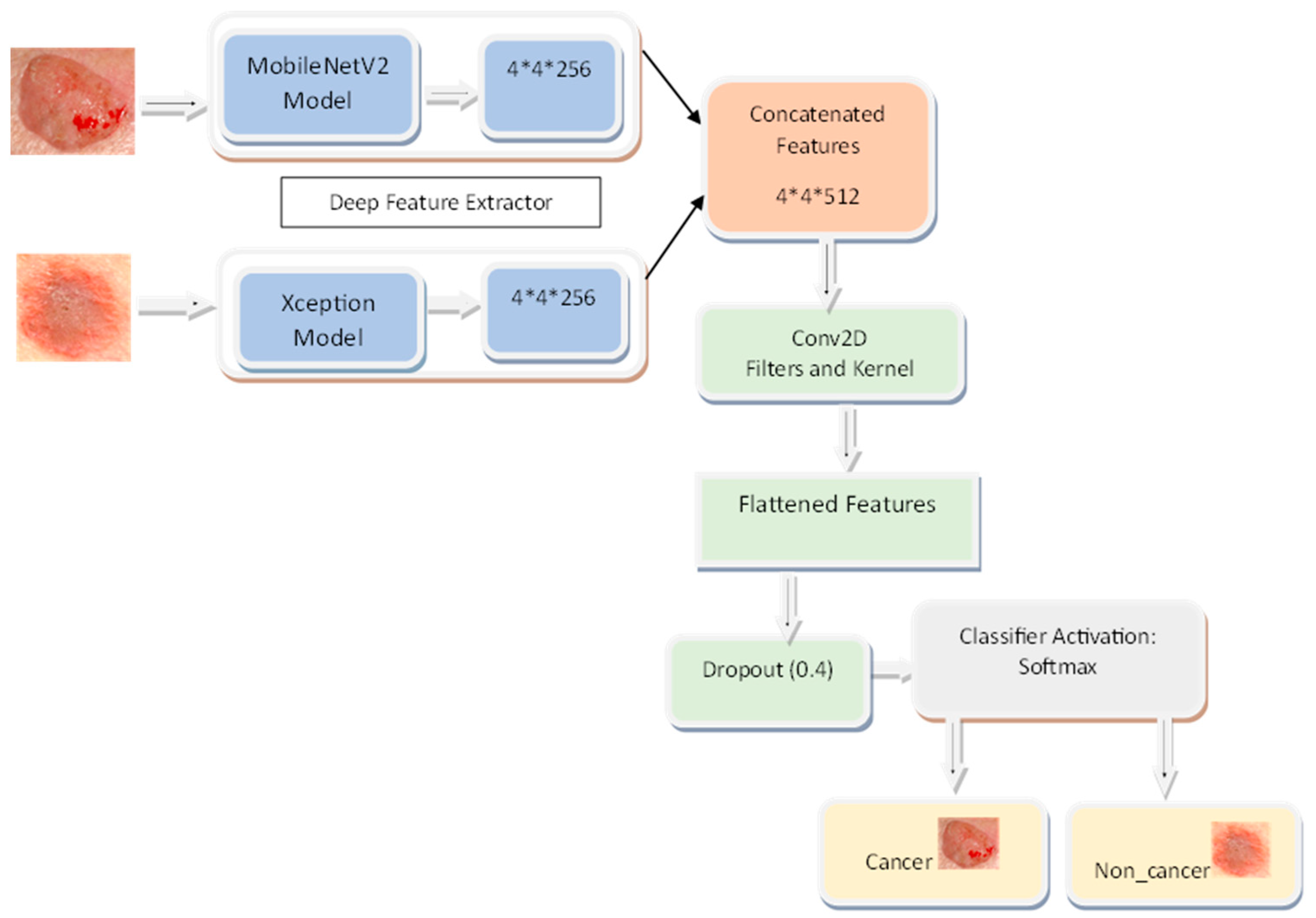 Bioengineering 10 00979 g003