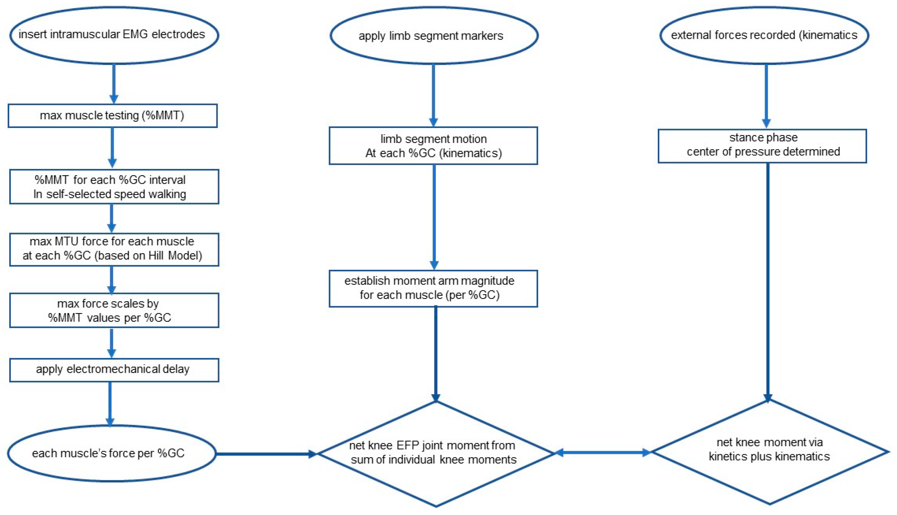 Bioengineering 10 00980 g001
