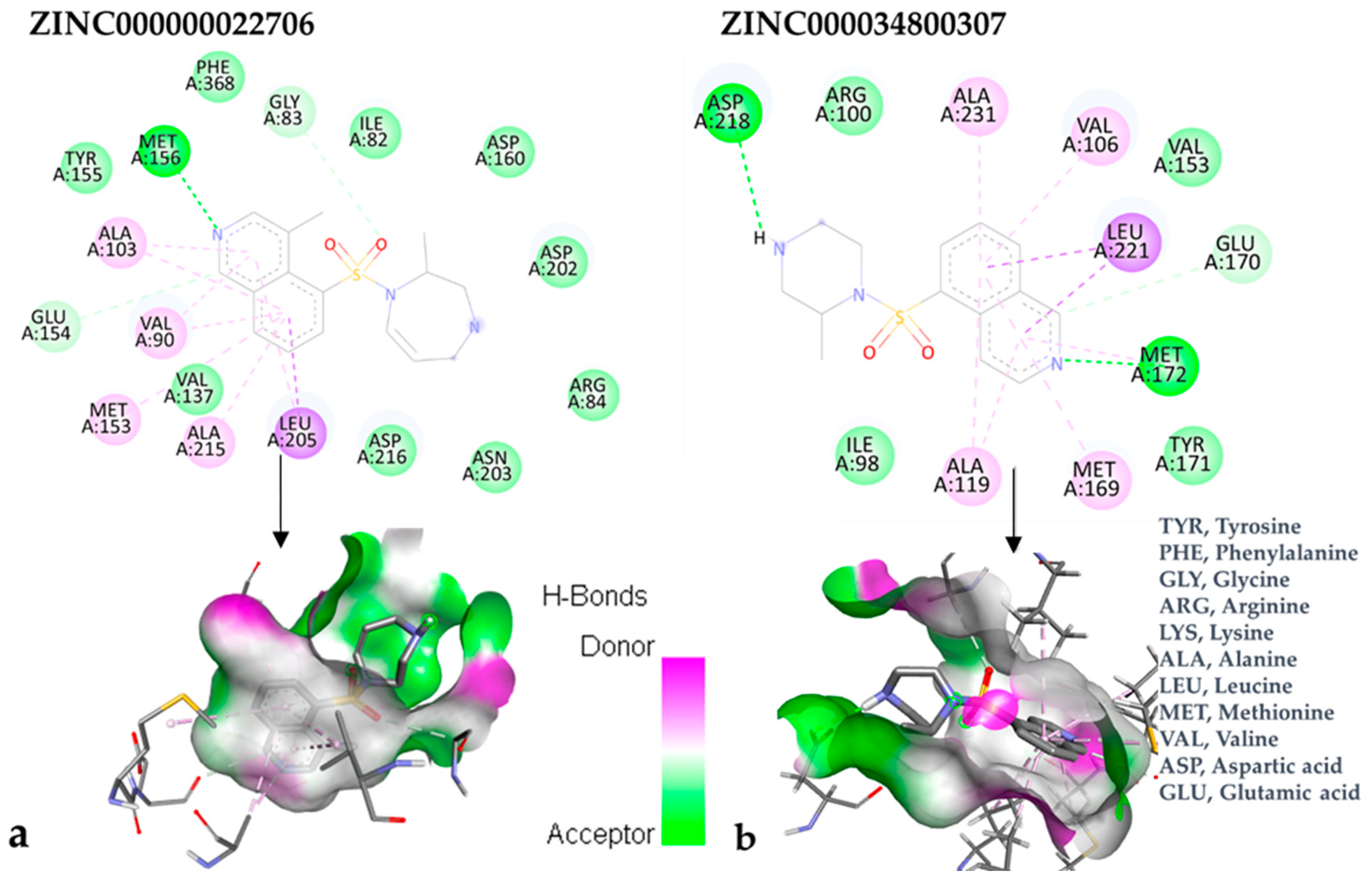 Bioengineering 10 00983 g005
