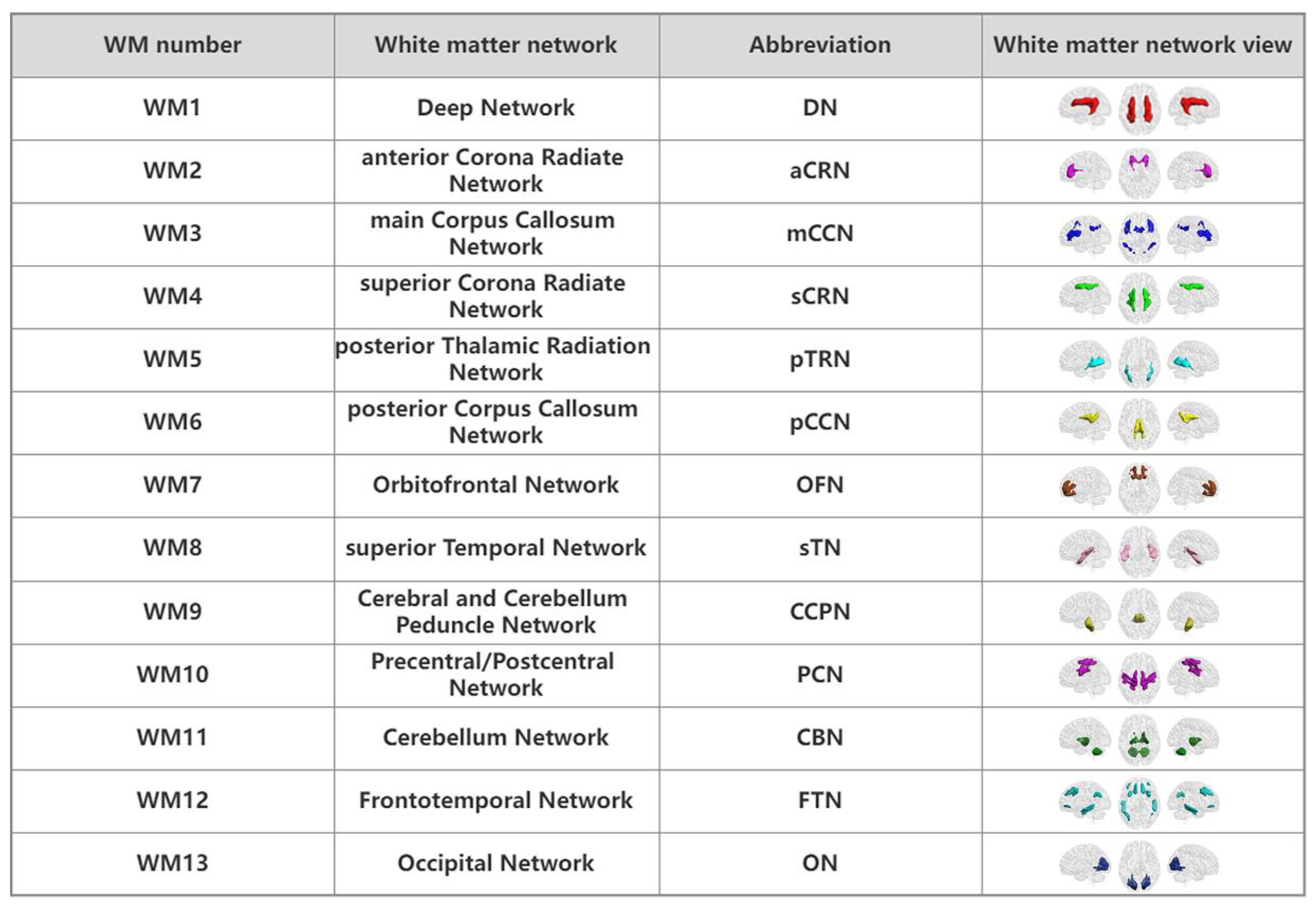 Bioengineering 10 00988 g002