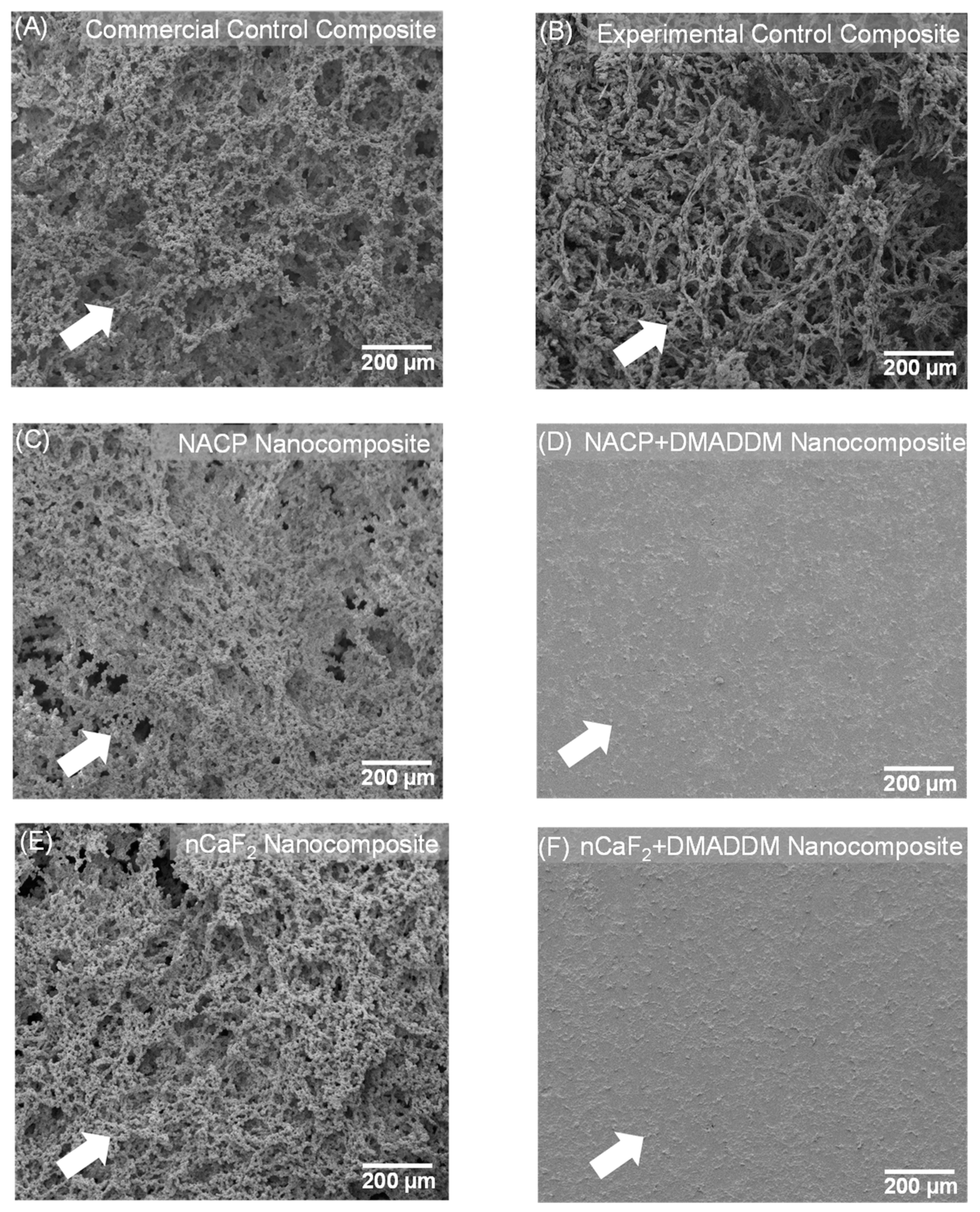 Bioengineering 10 00991 g002 Bioengineering 10 00991 g002