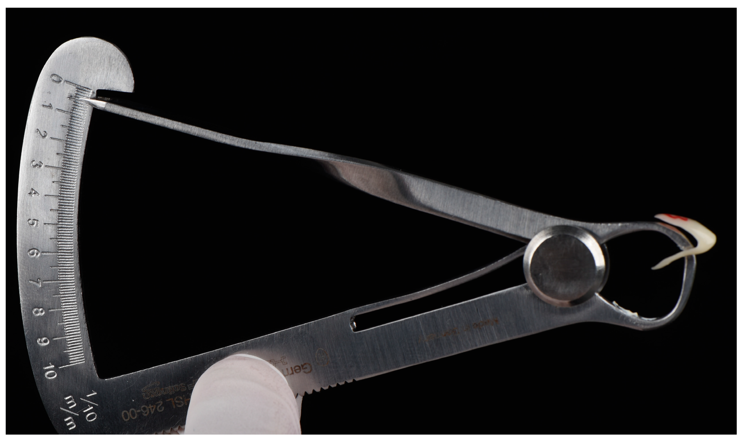 Bioengineering 10 00992 g001 Bioengineering 10 00992 g001