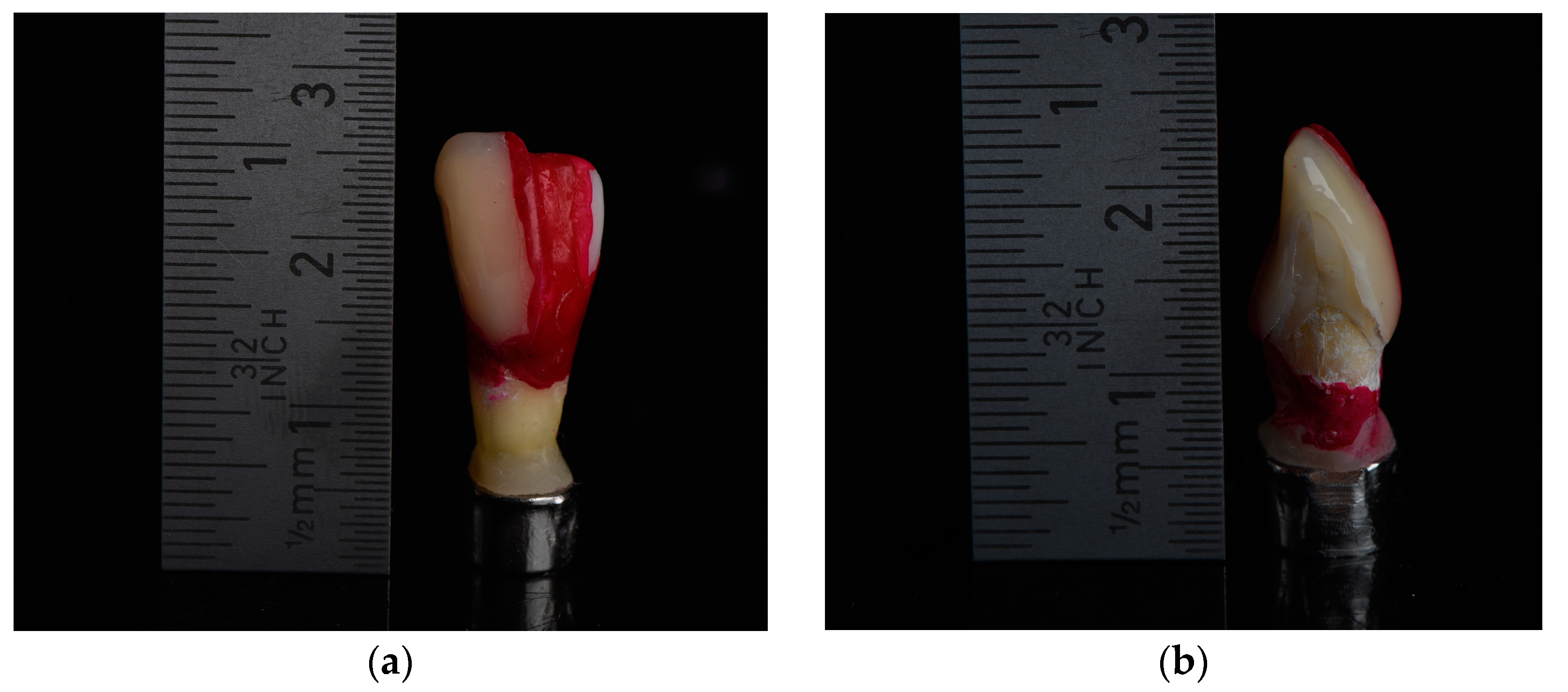 Bioengineering 10 00992 g003 Bioengineering 10 00992 g003