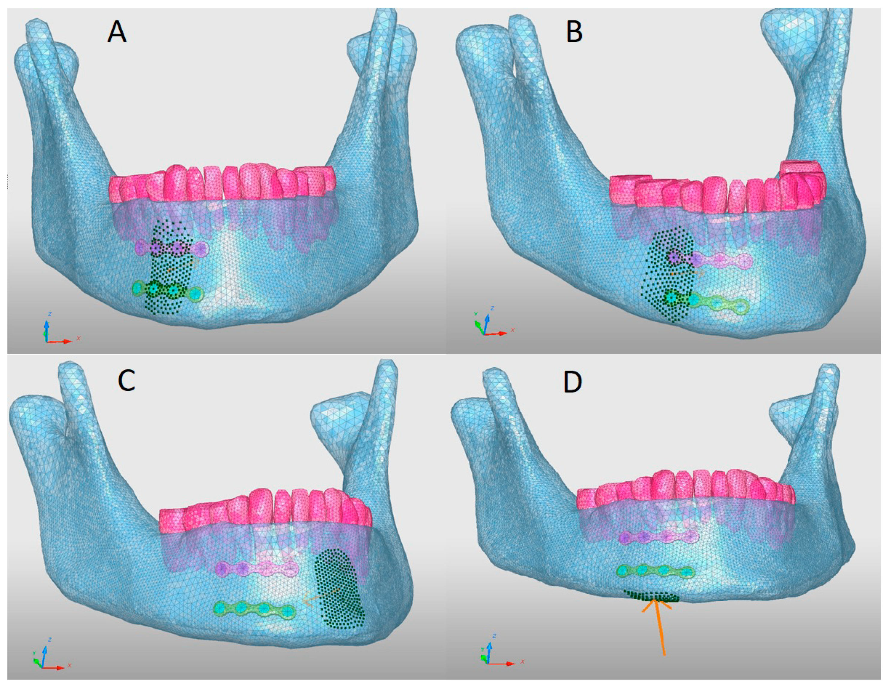 Bioengineering 10 00994 g002