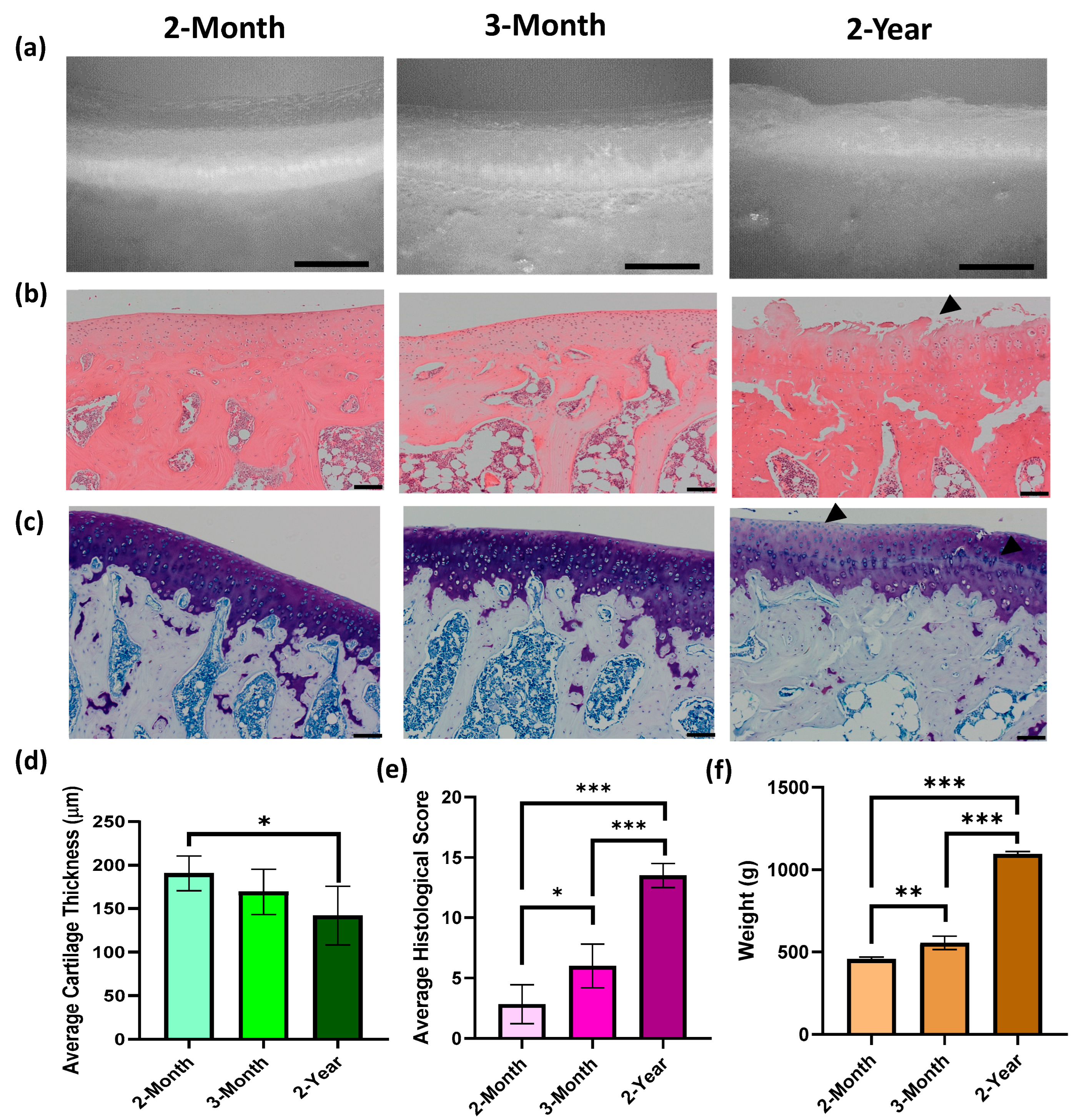 Bioengineering 10 00995 g002