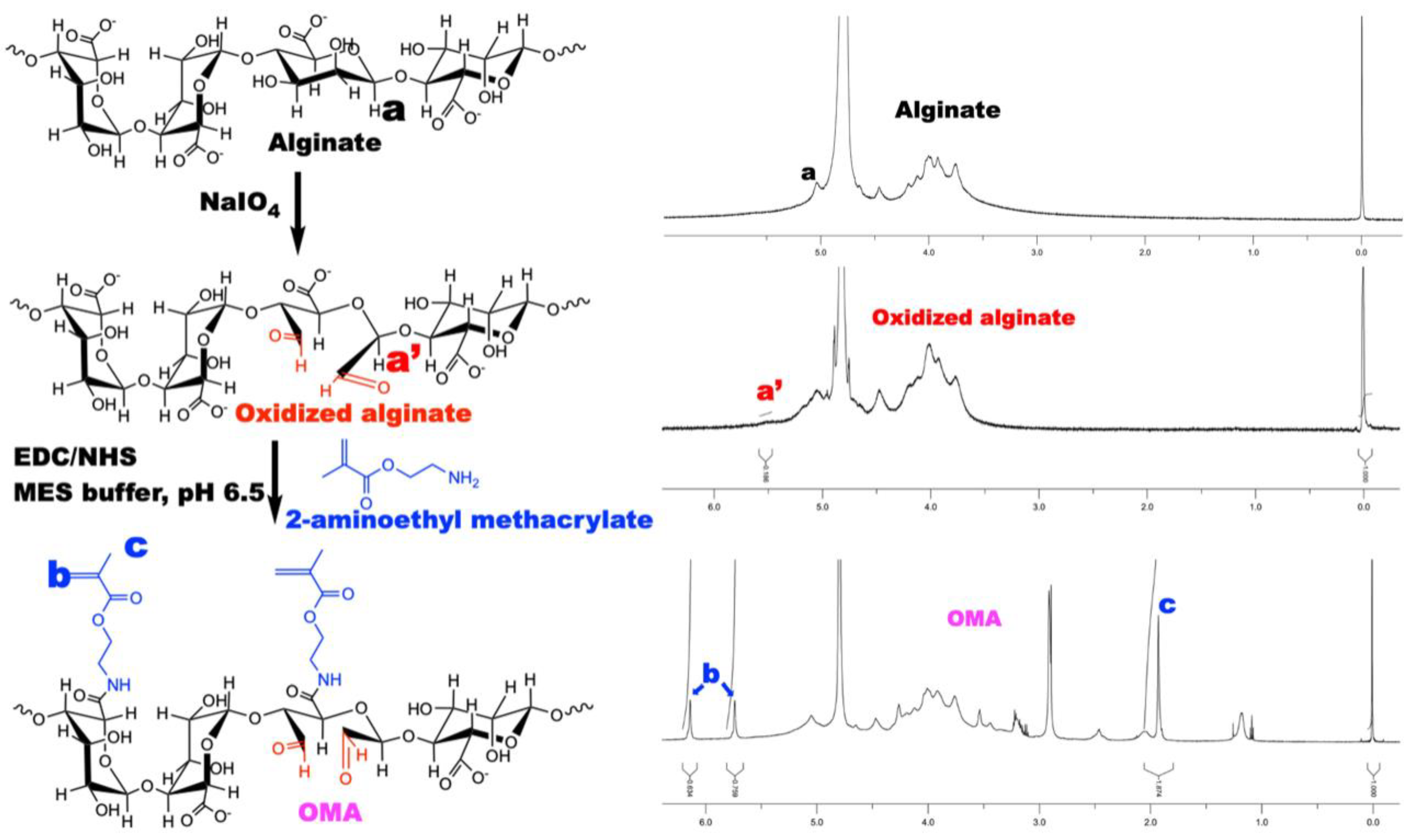 Bioengineering 10 00997 g005