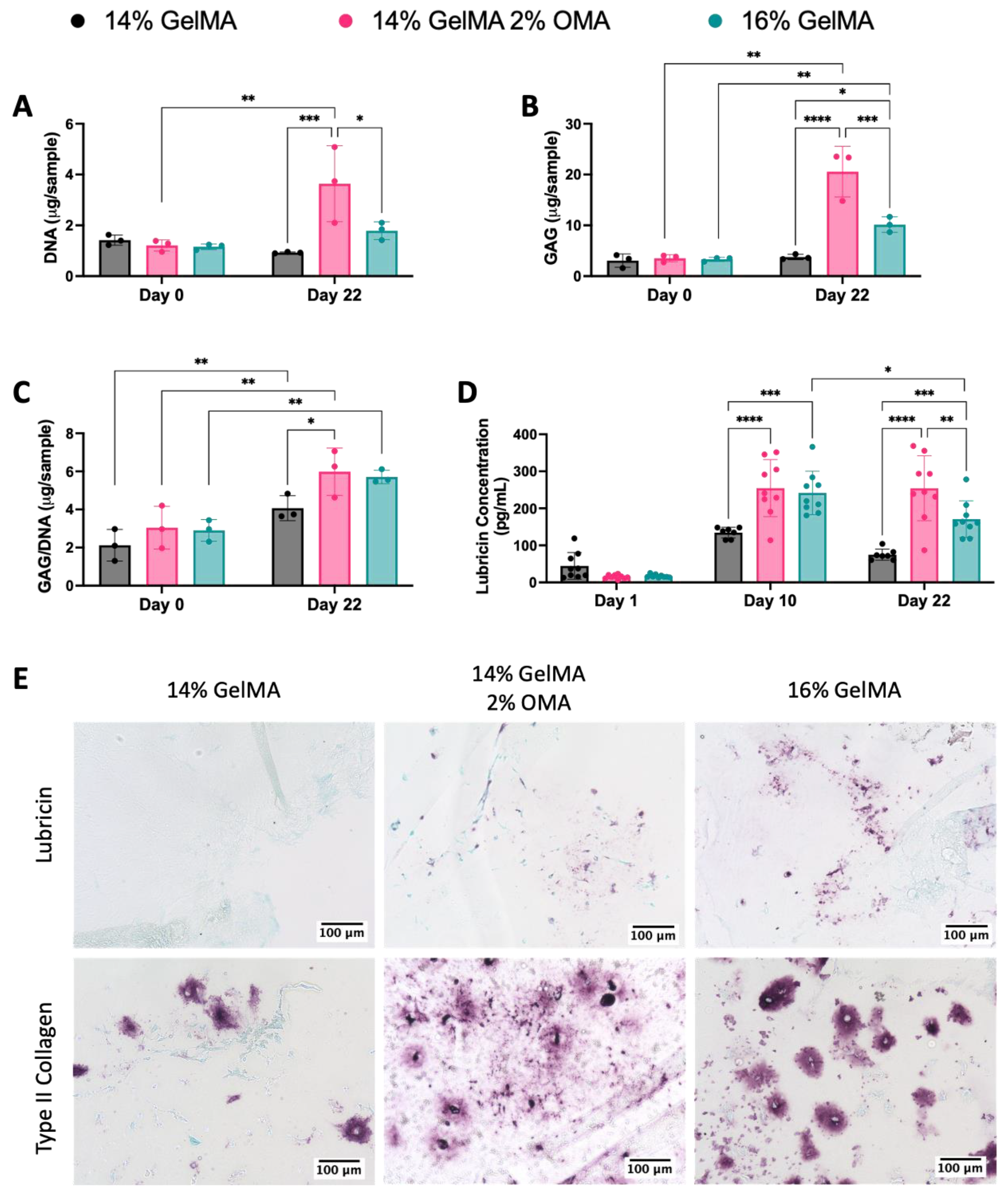 Bioengineering 10 00997 g010