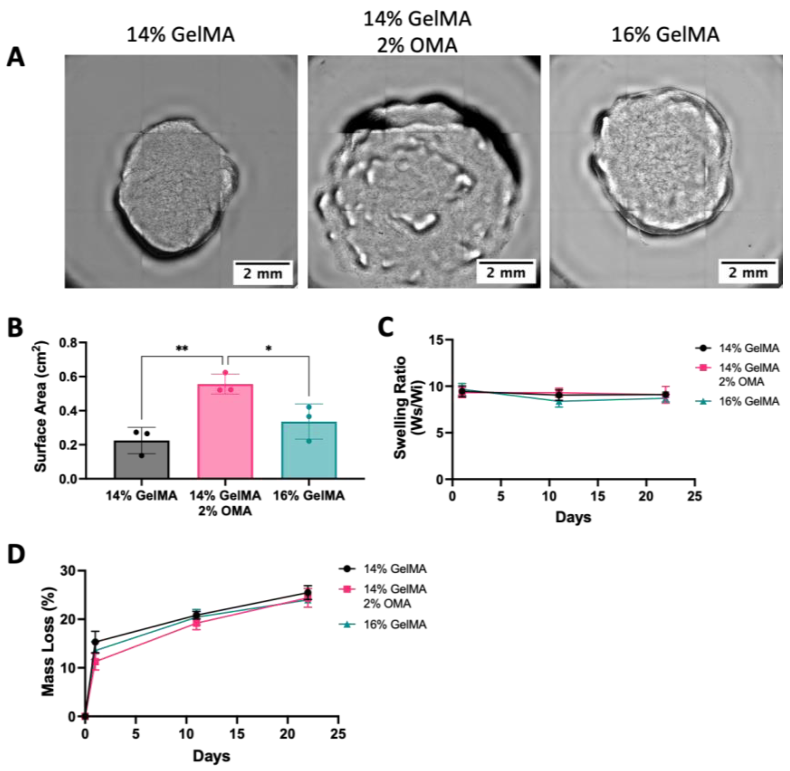 Bioengineering 10 00997 g012