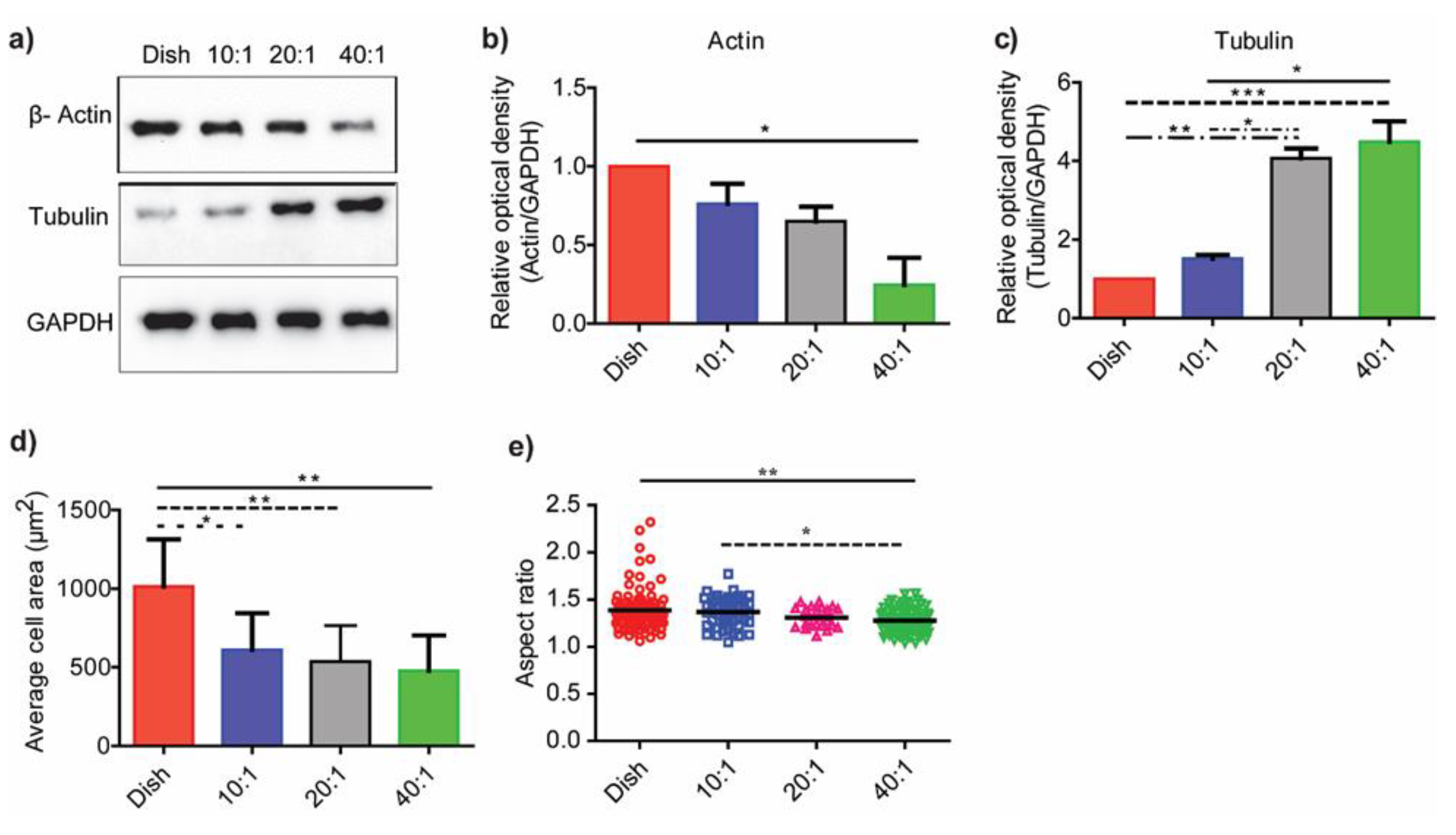 Bioengineering 10 00998 g003