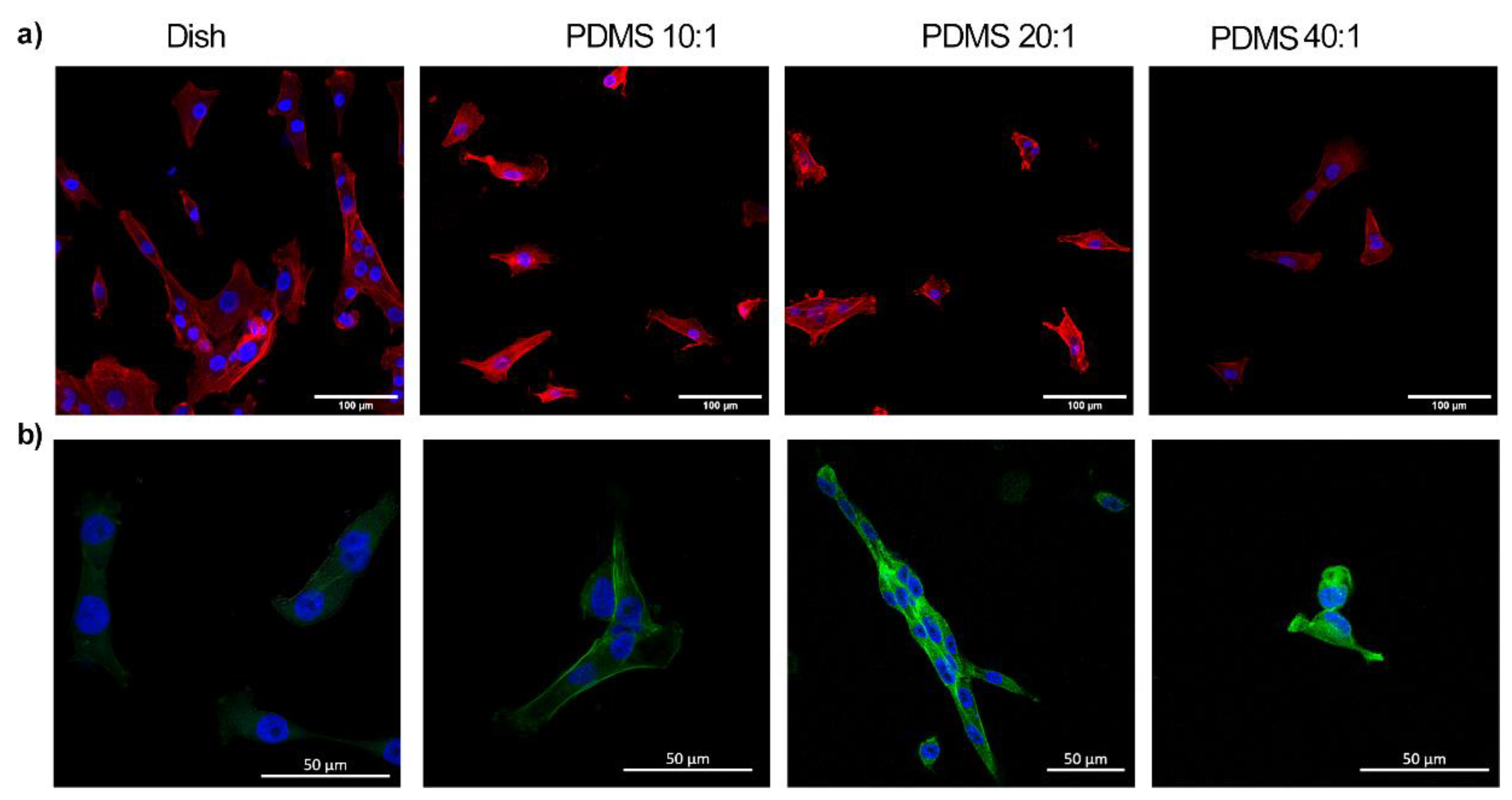Bioengineering 10 00998 g004