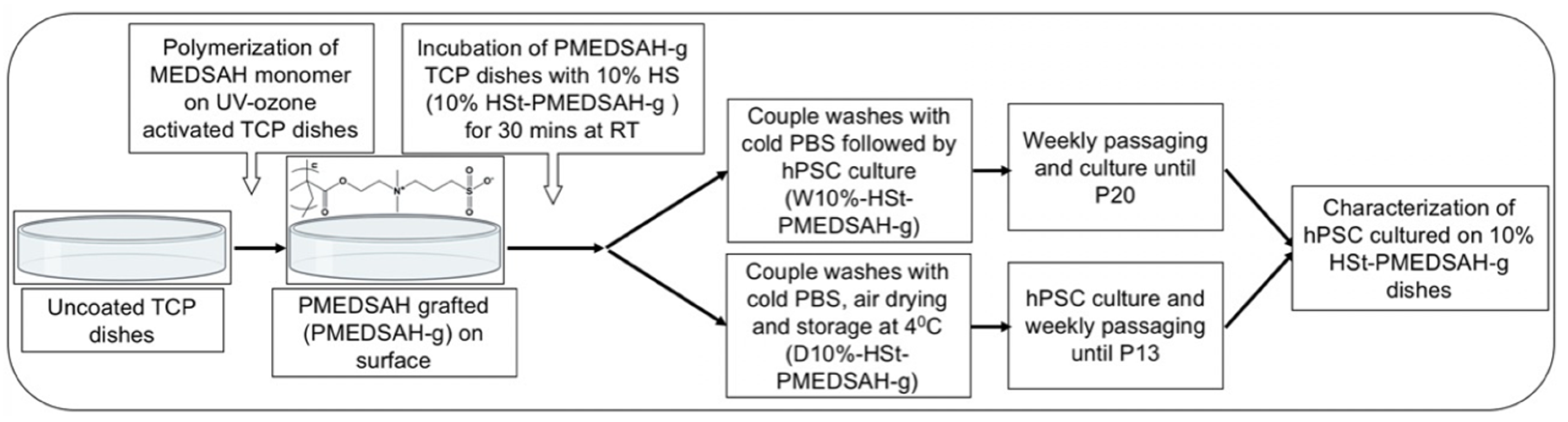 Bioengineering 10 00999 g001 Bioengineering 10 00999 g001