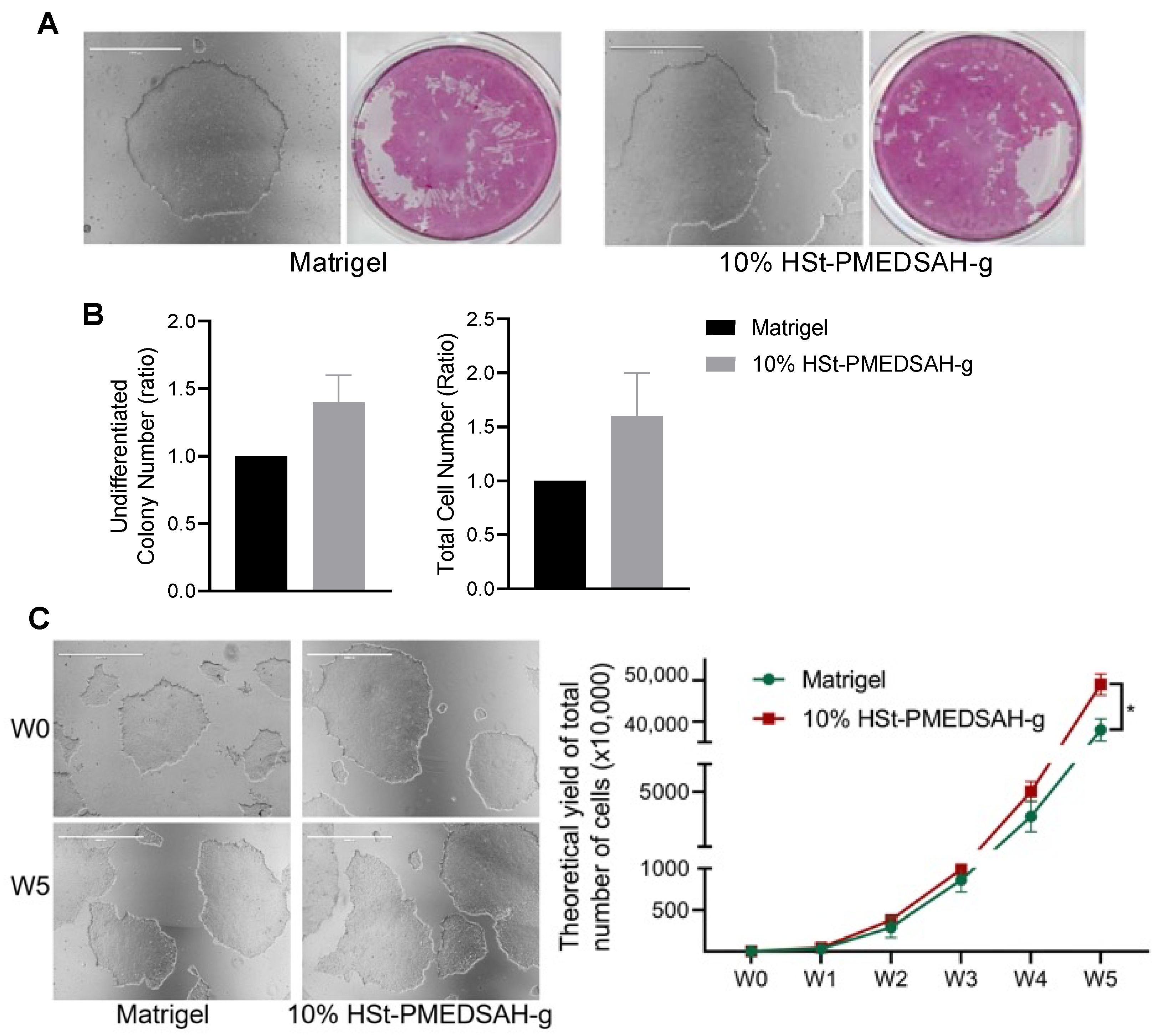 Bioengineering 10 00999 g002 Bioengineering 10 00999 g002