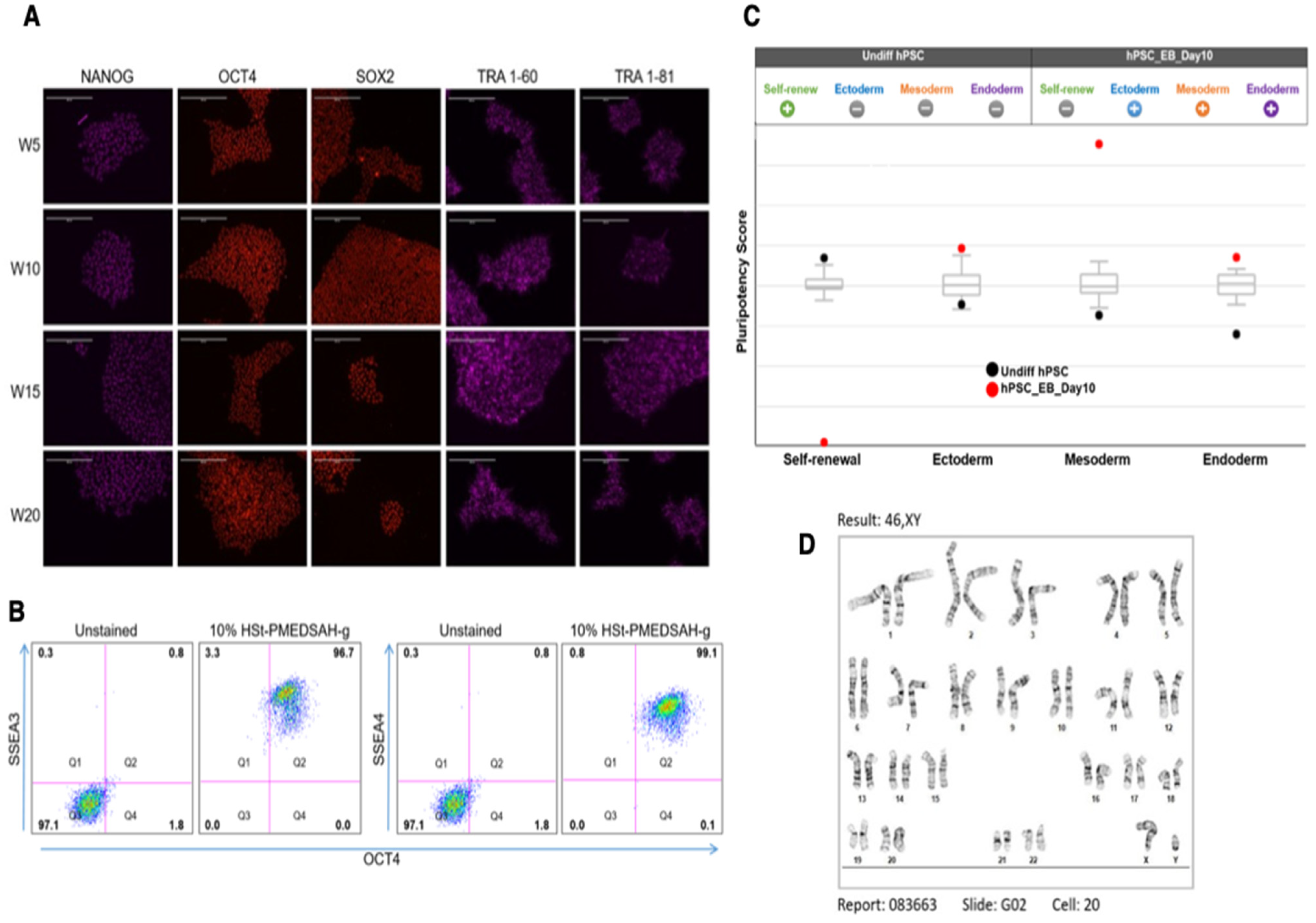 Bioengineering 10 00999 g003 Bioengineering 10 00999 g003