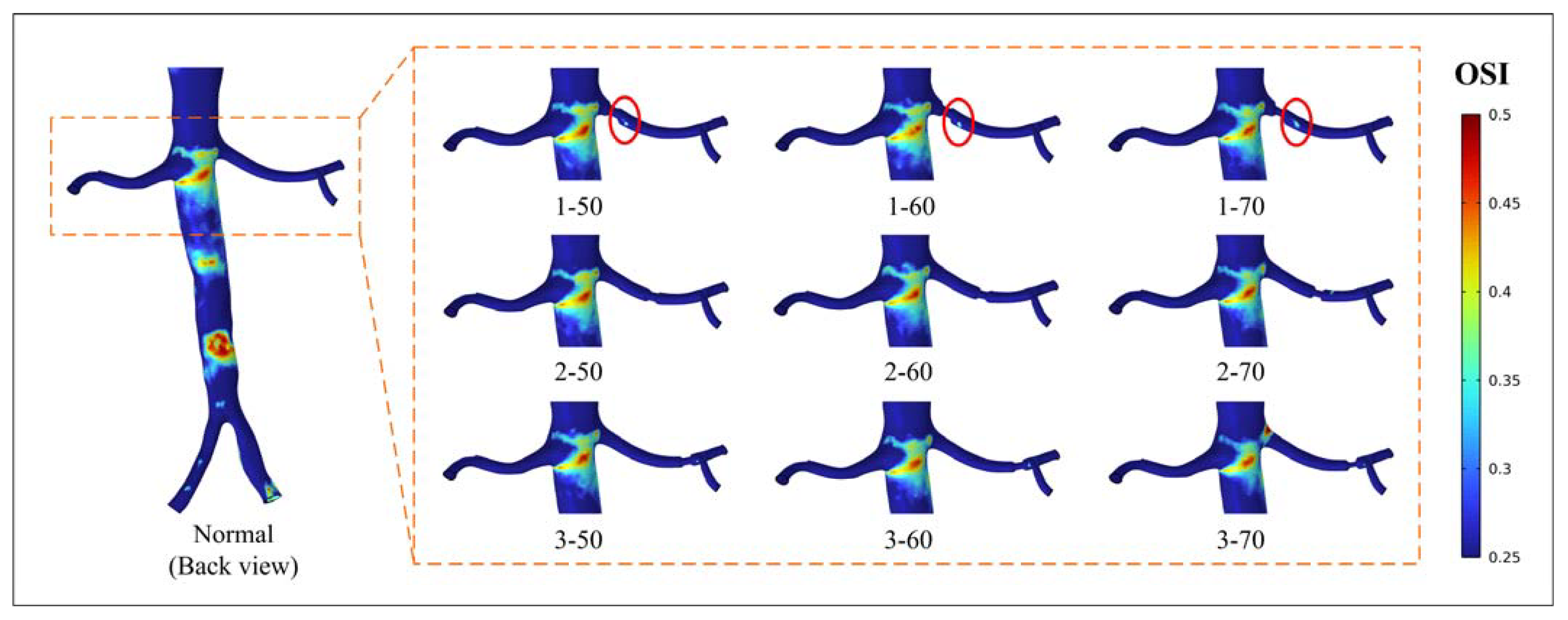 Bioengineering 10 01002 g006