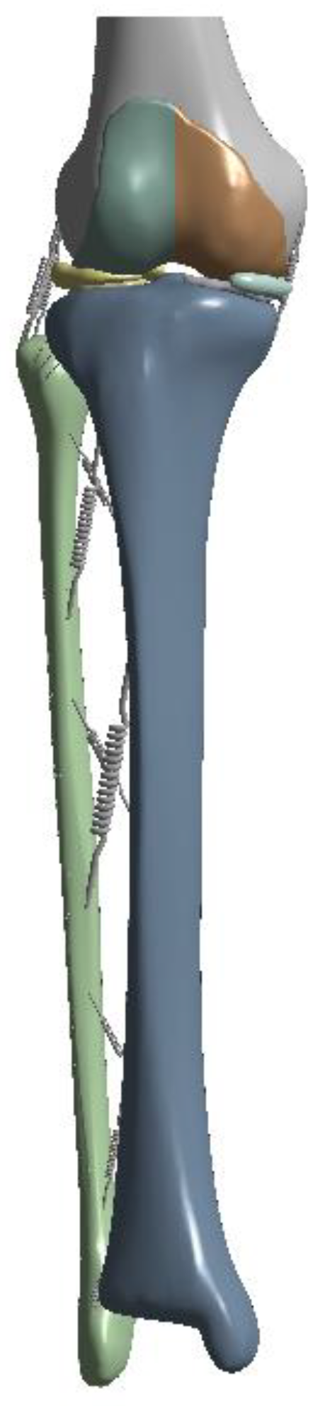 Bioengineering 10 01003 g002