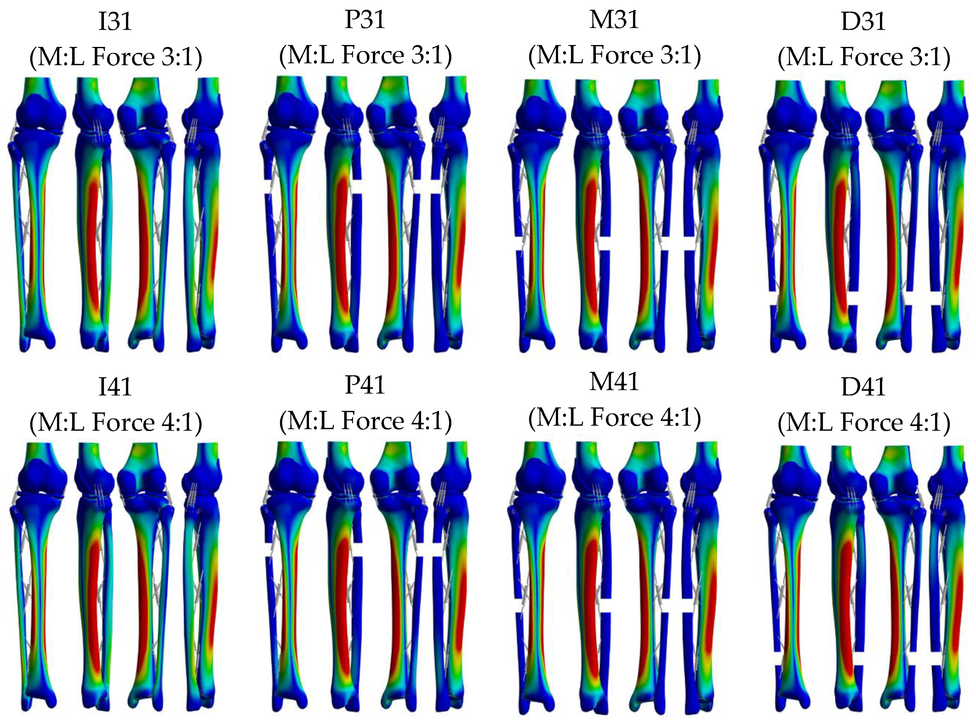 Bioengineering 10 01003 g005b