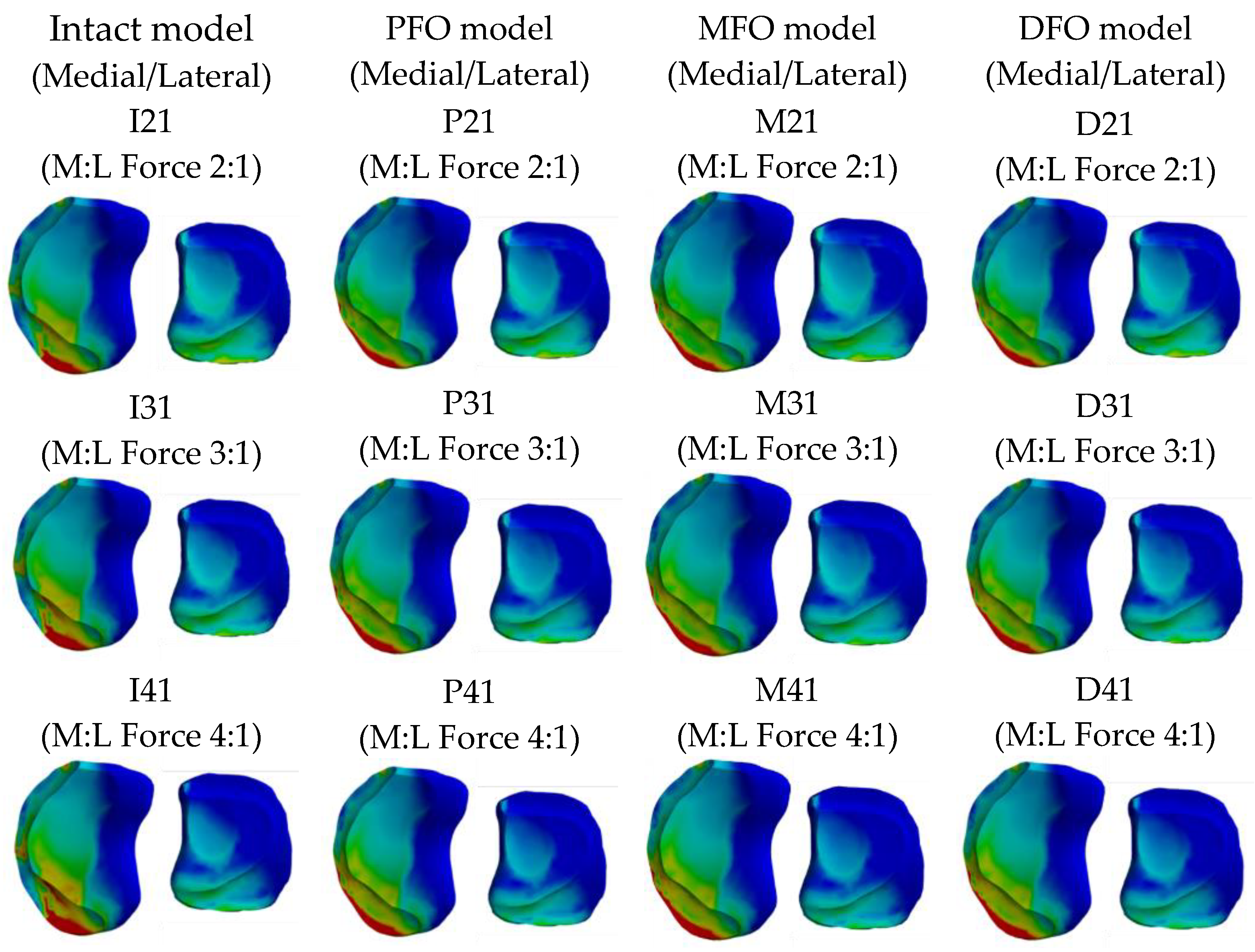 Bioengineering 10 01003 g009