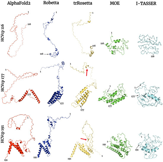 Comparison, Analysis, and Molecular Dynamics Simulations of 