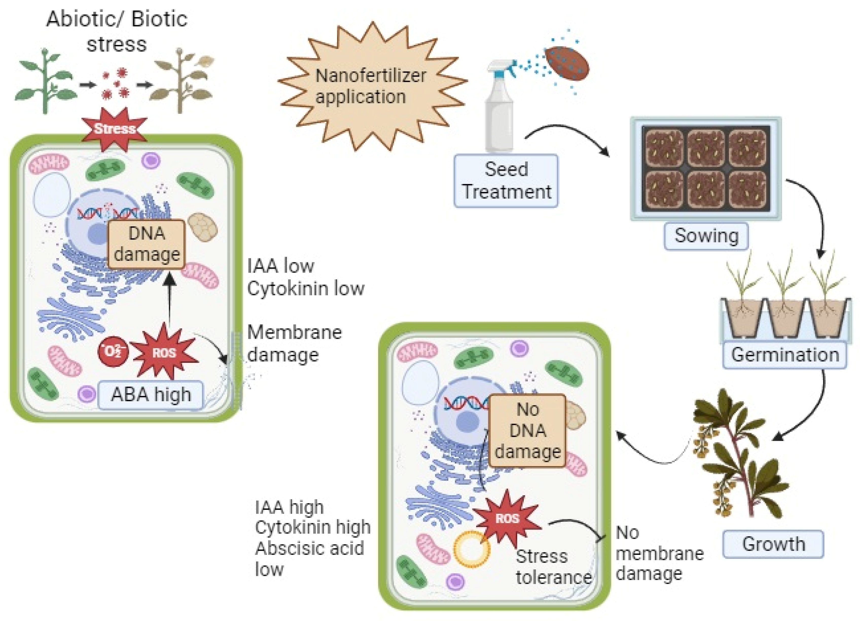 Bioengineering 10 01010 g005