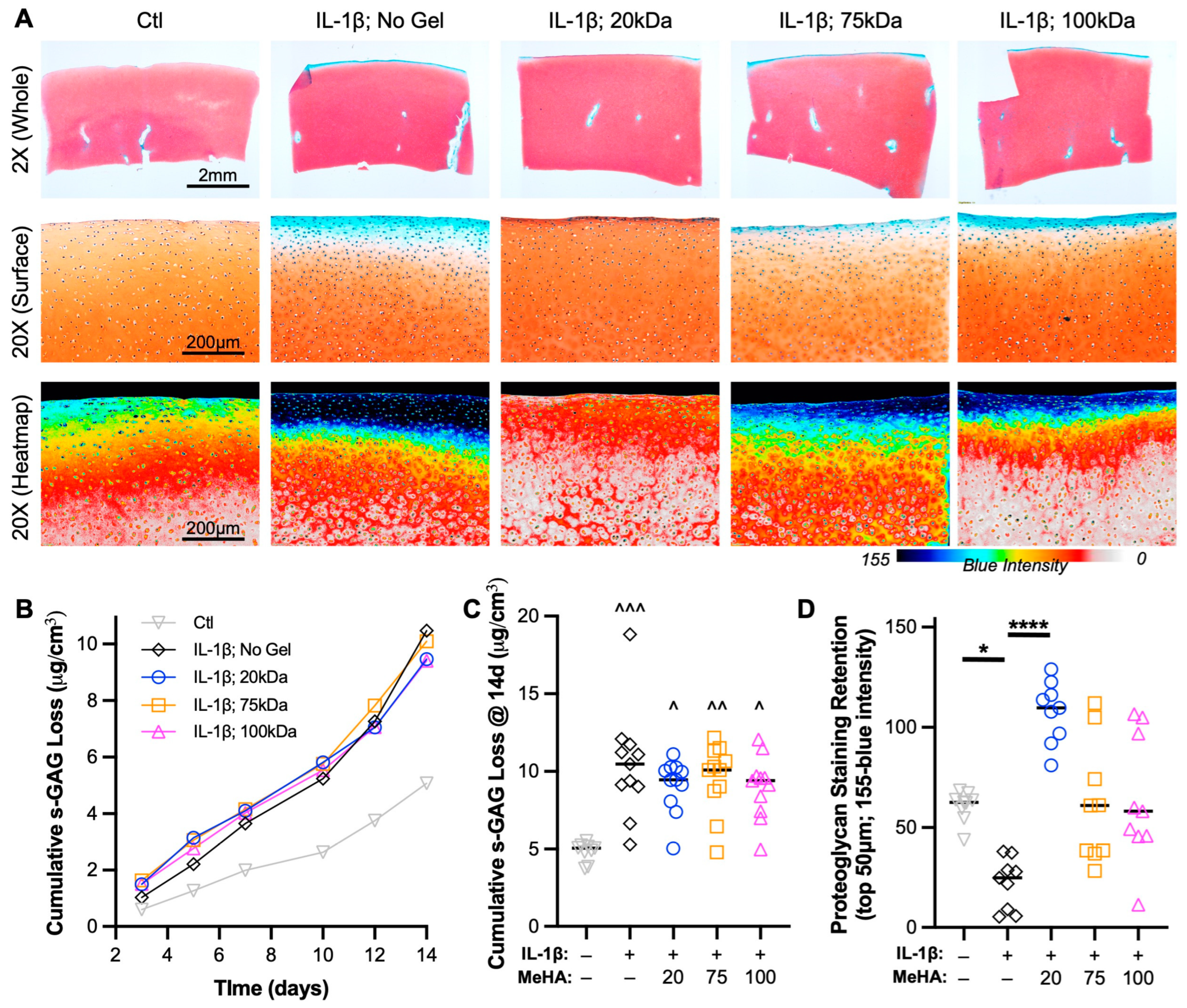 Bioengineering 10 01013 g006
