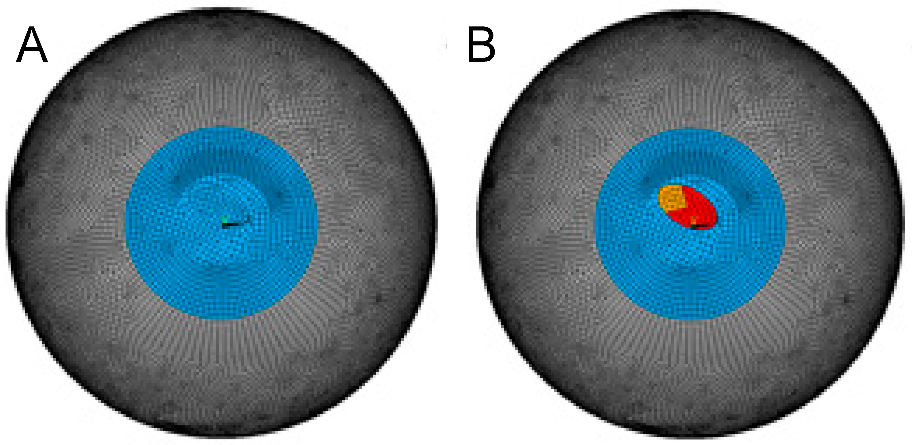 Bioengineering 10 01014 g001 Bioengineering 10 01014 g001