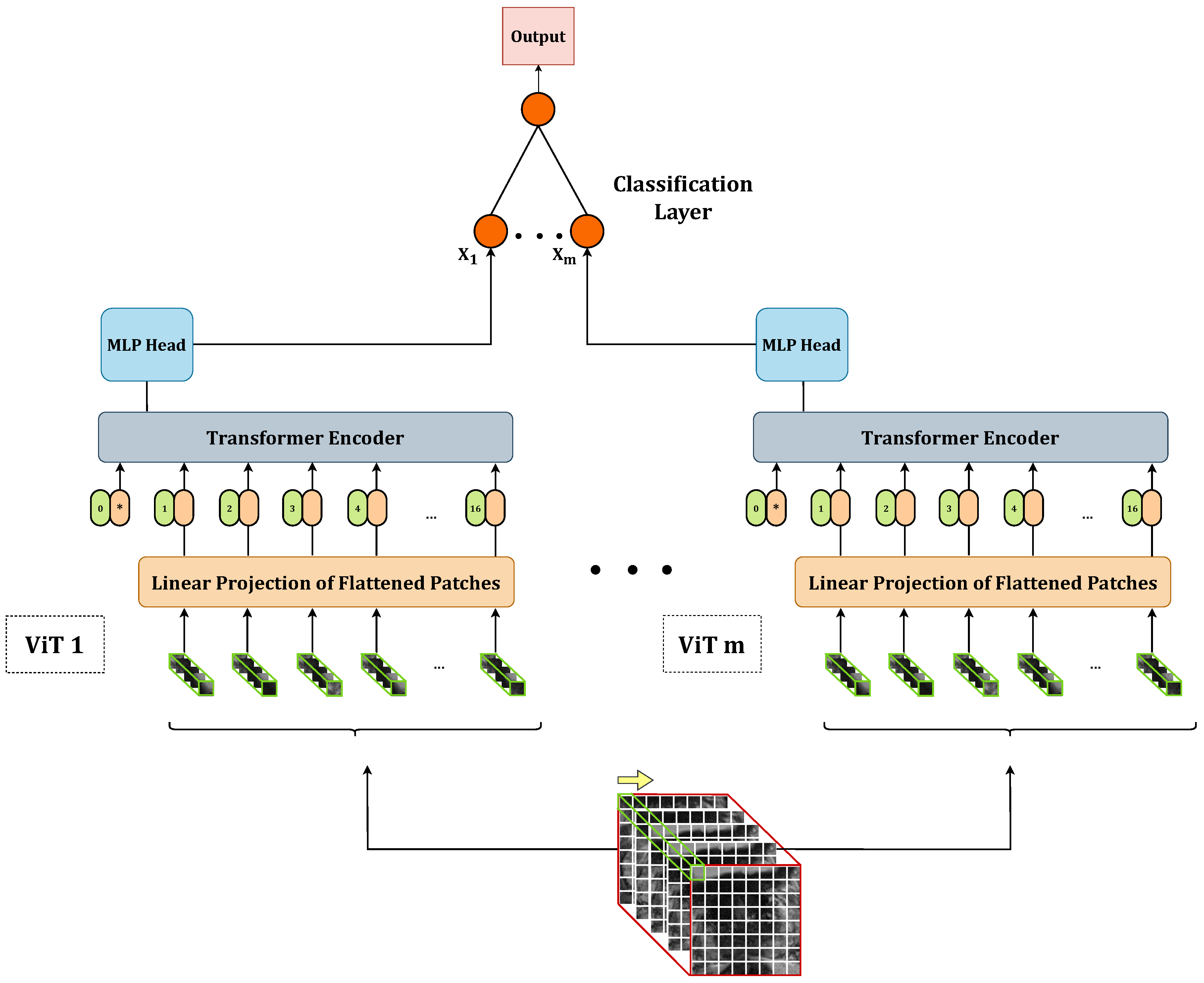 Bioengineering 10 01015 g002