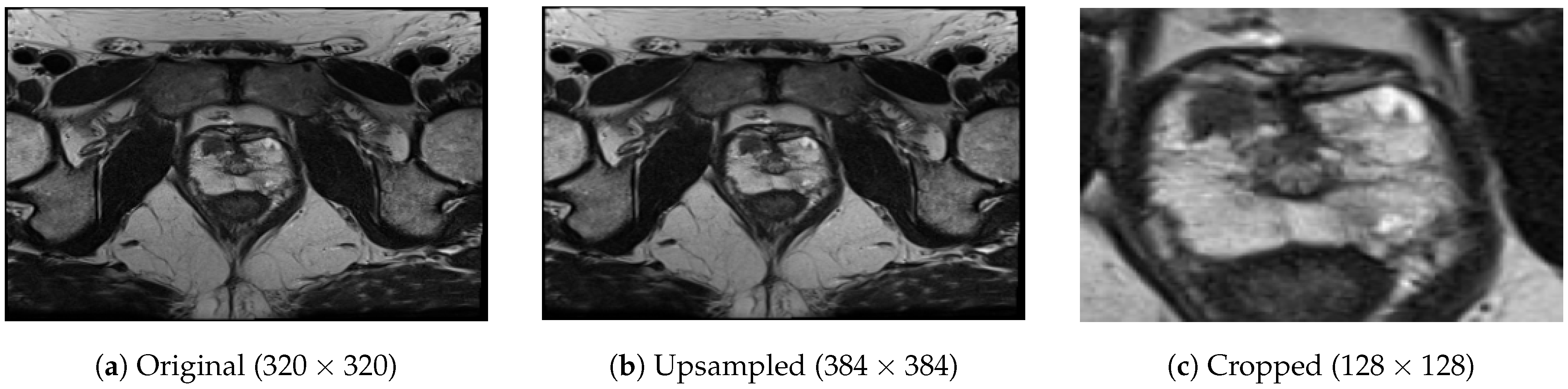 Bioengineering 10 01015 g003