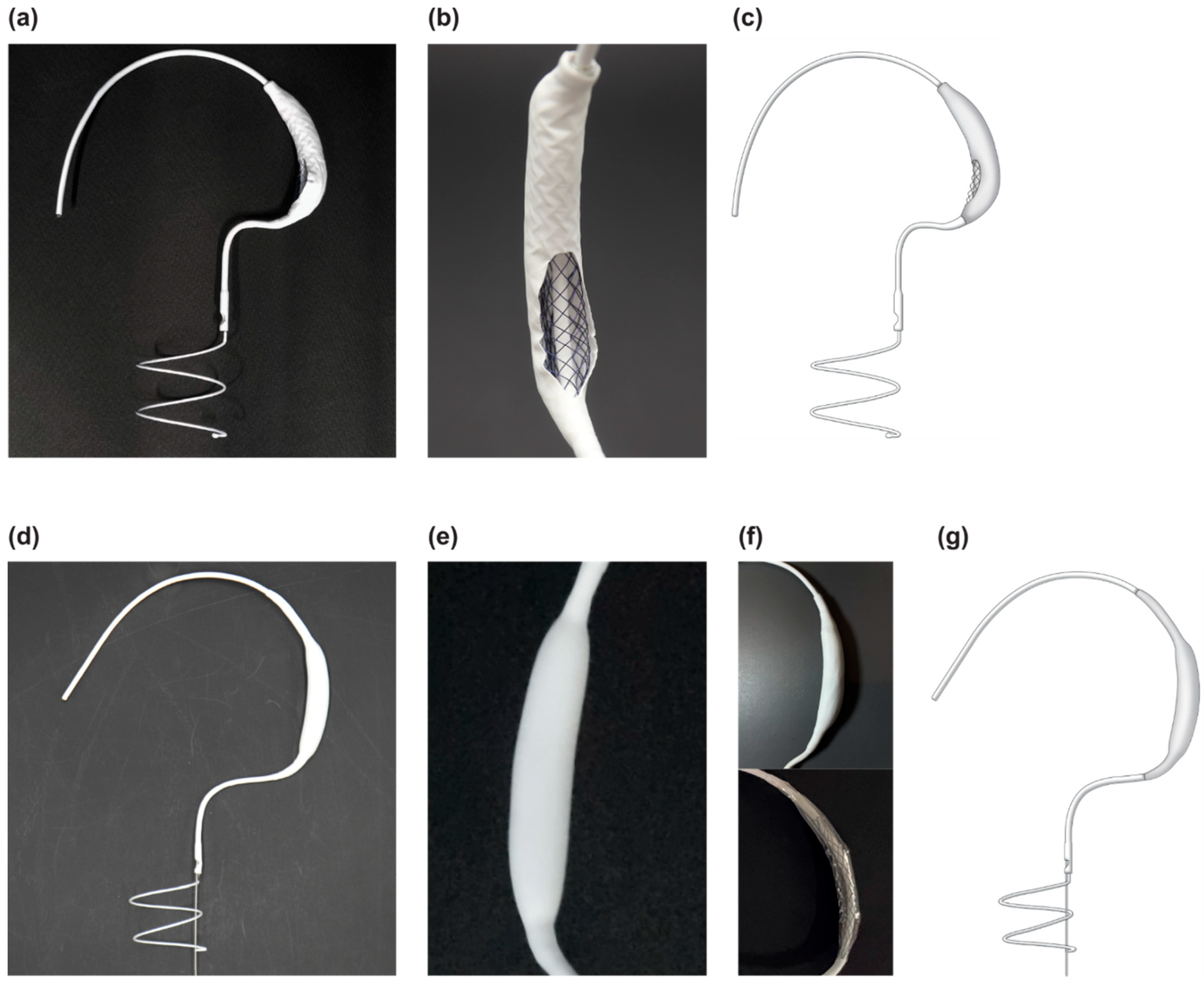 Bioengineering 10 01016 g001