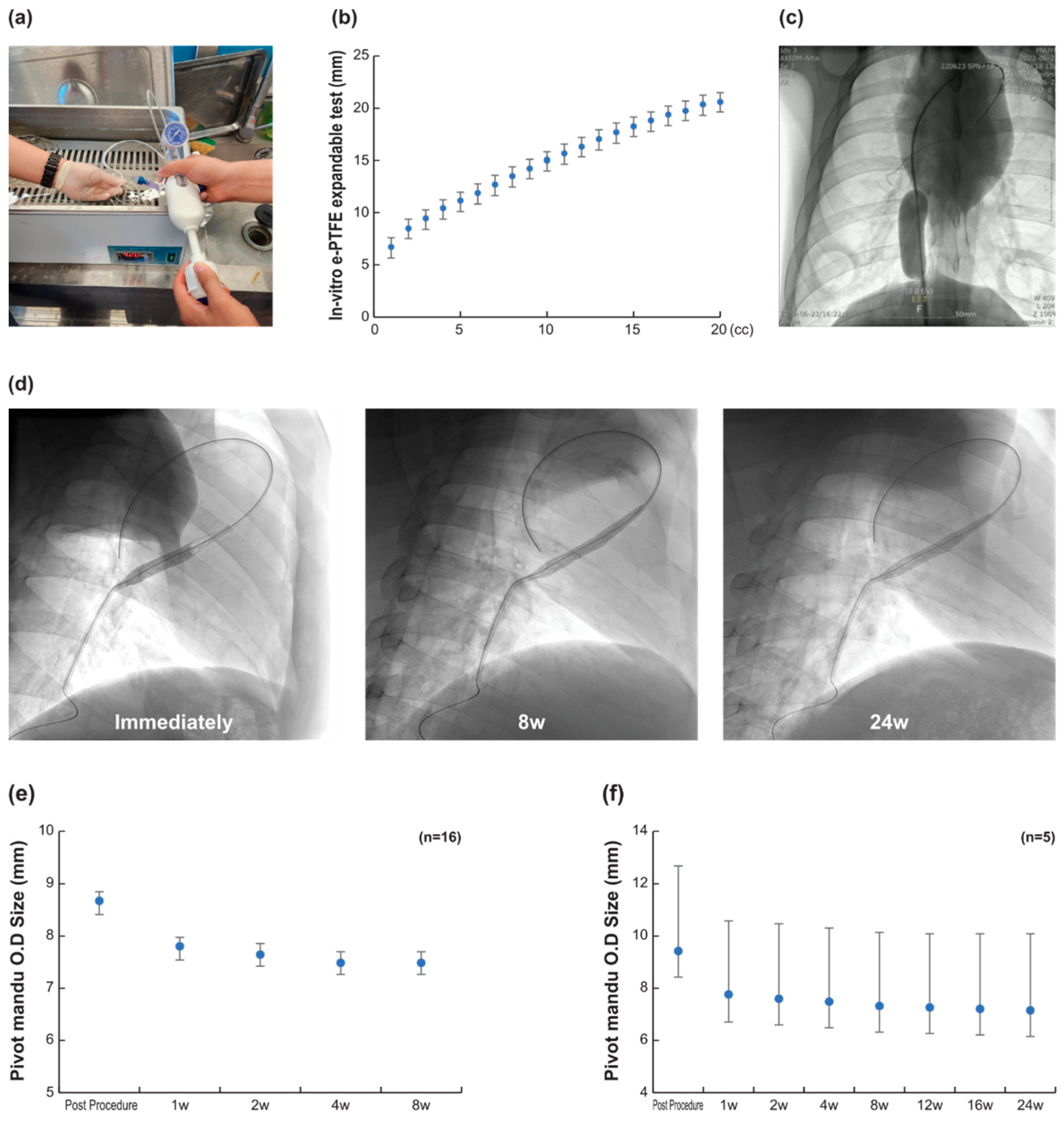 Bioengineering 10 01016 g003