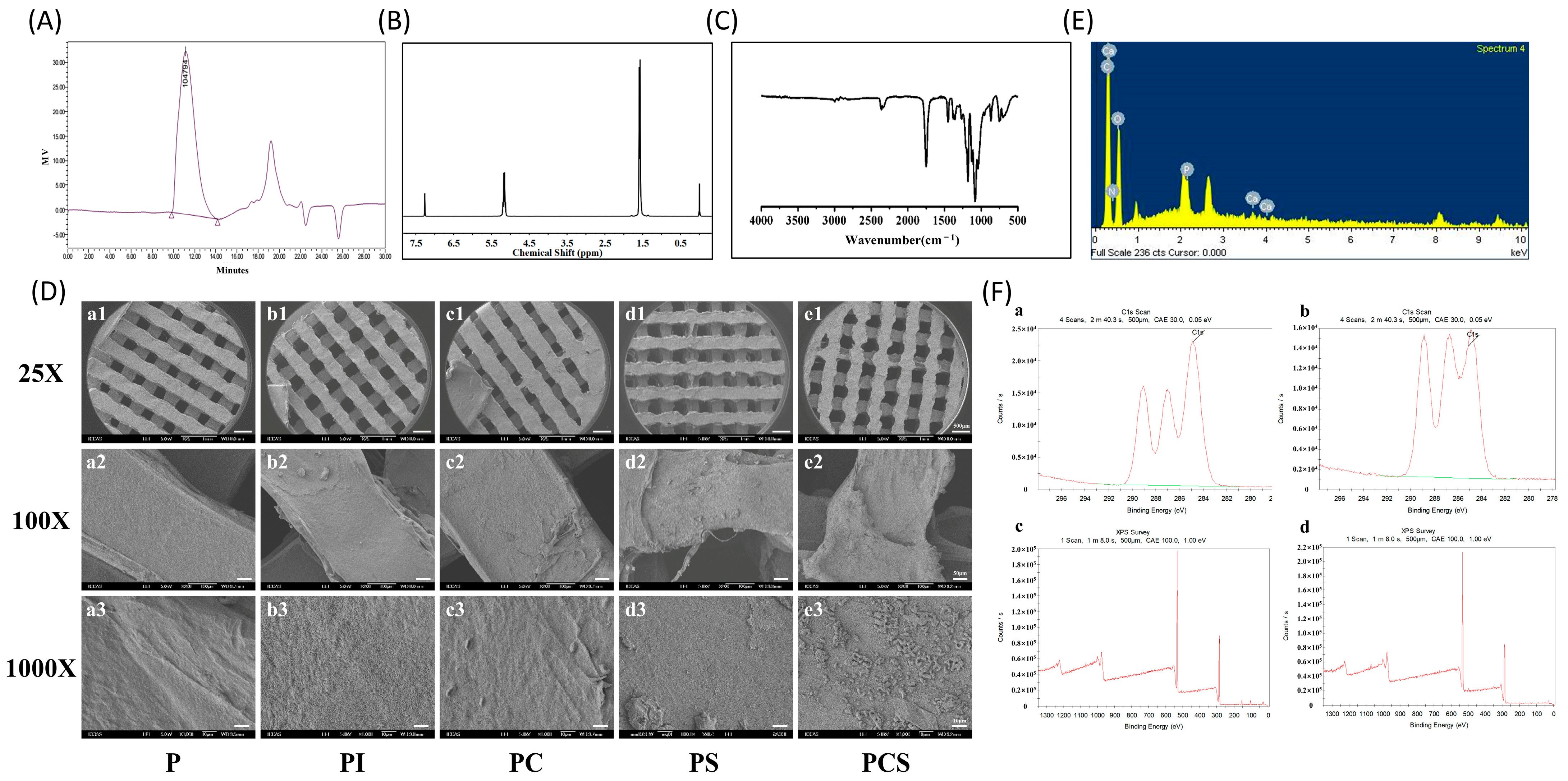 Bioengineering 10 01019 g001