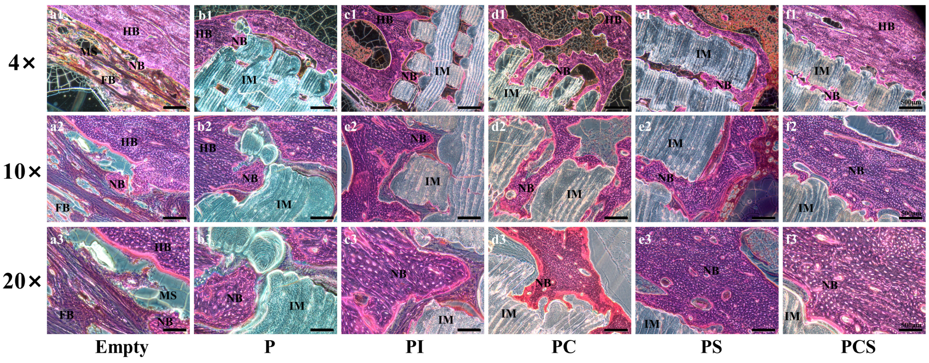 Bioengineering 10 01019 g006