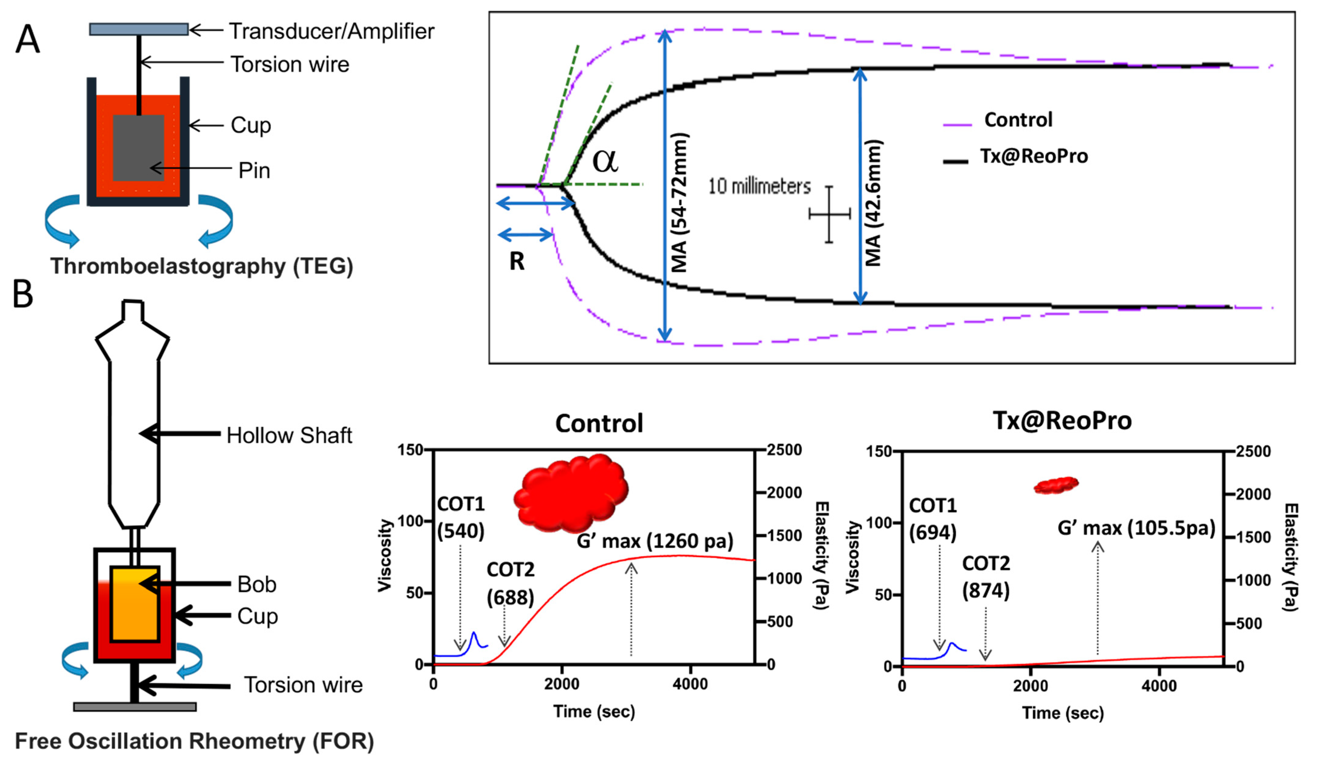 Bioengineering 10 01020 g003