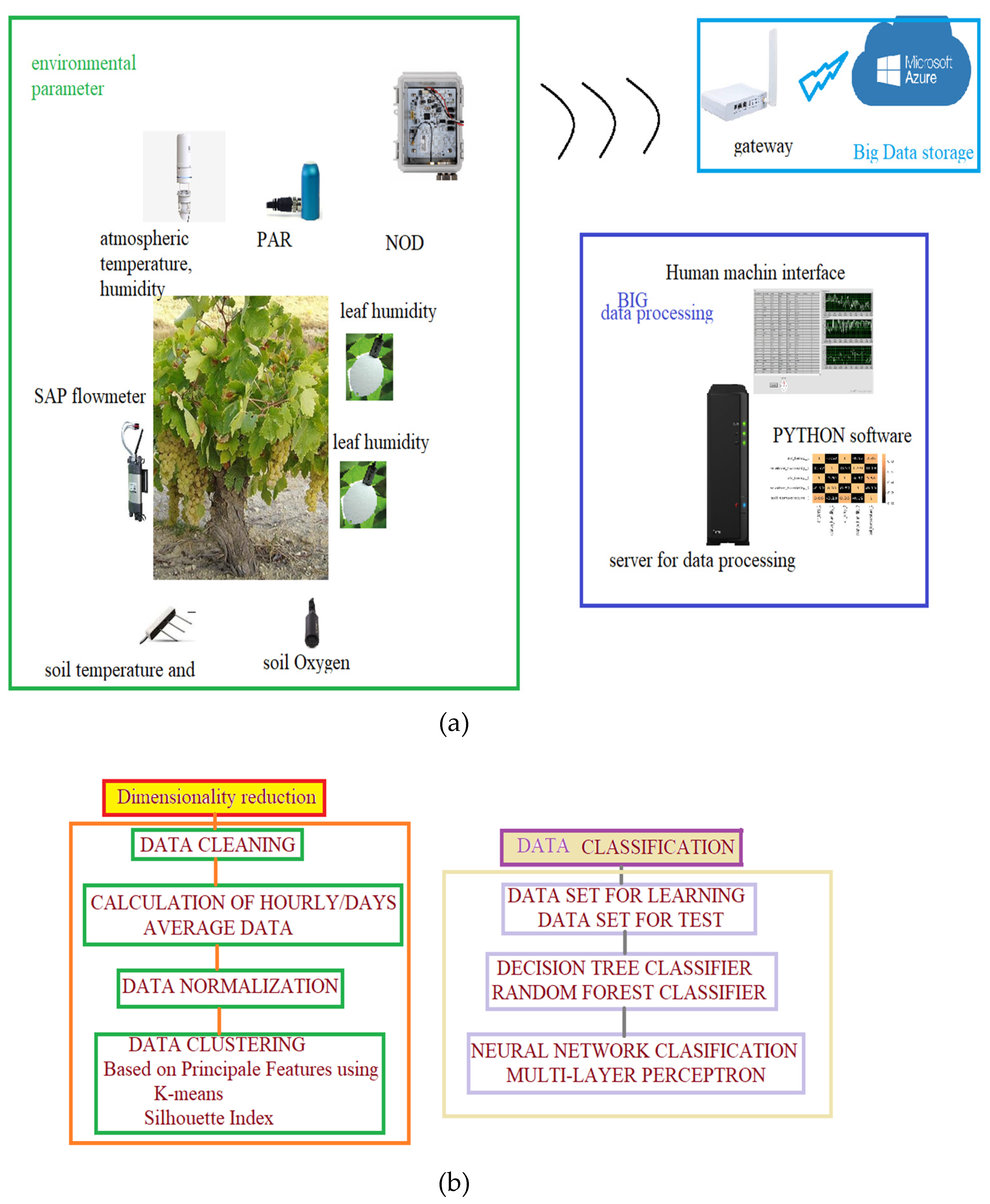 Bioengineering 10 01021 g002