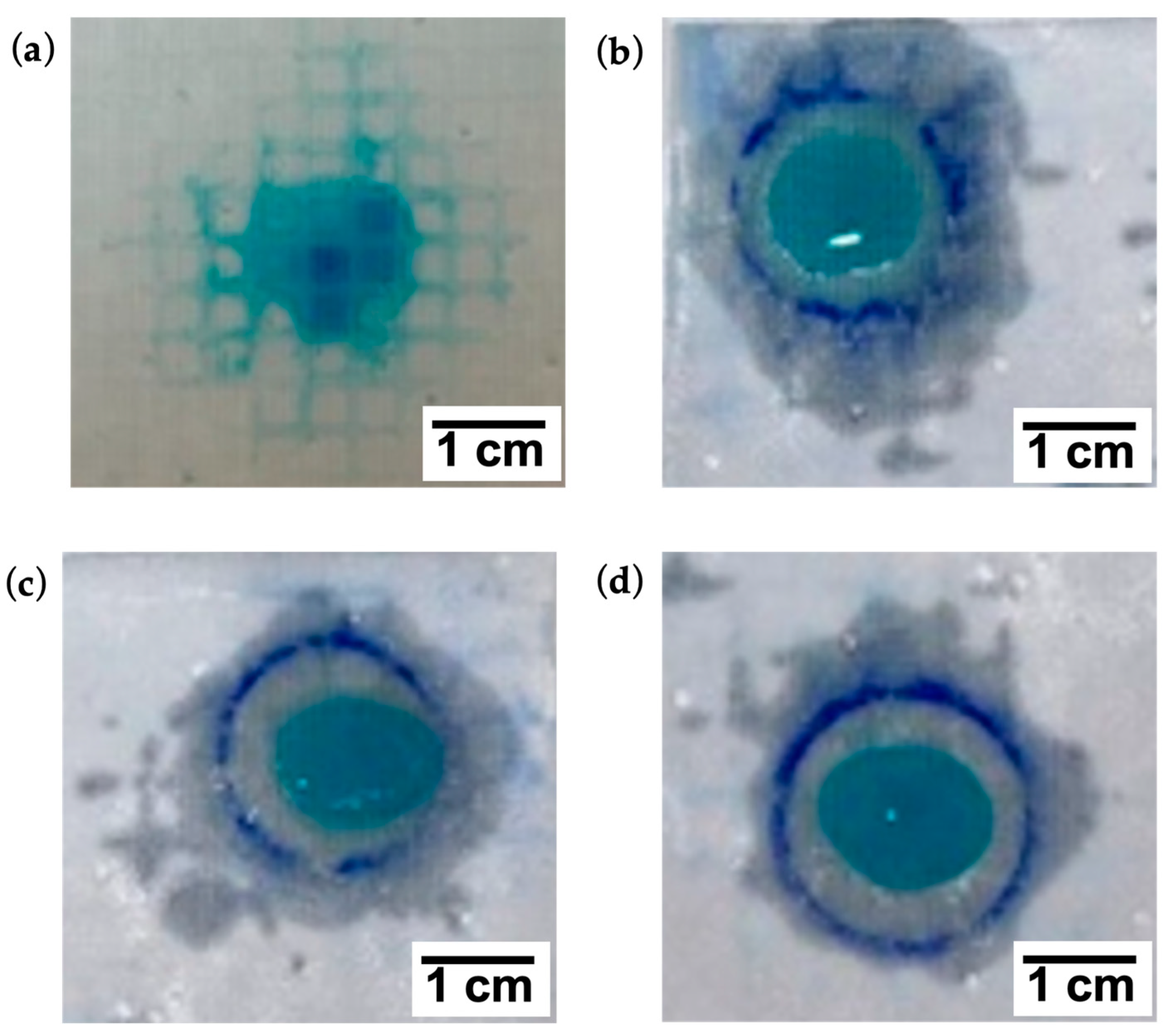Bioengineering 10 01022 g006