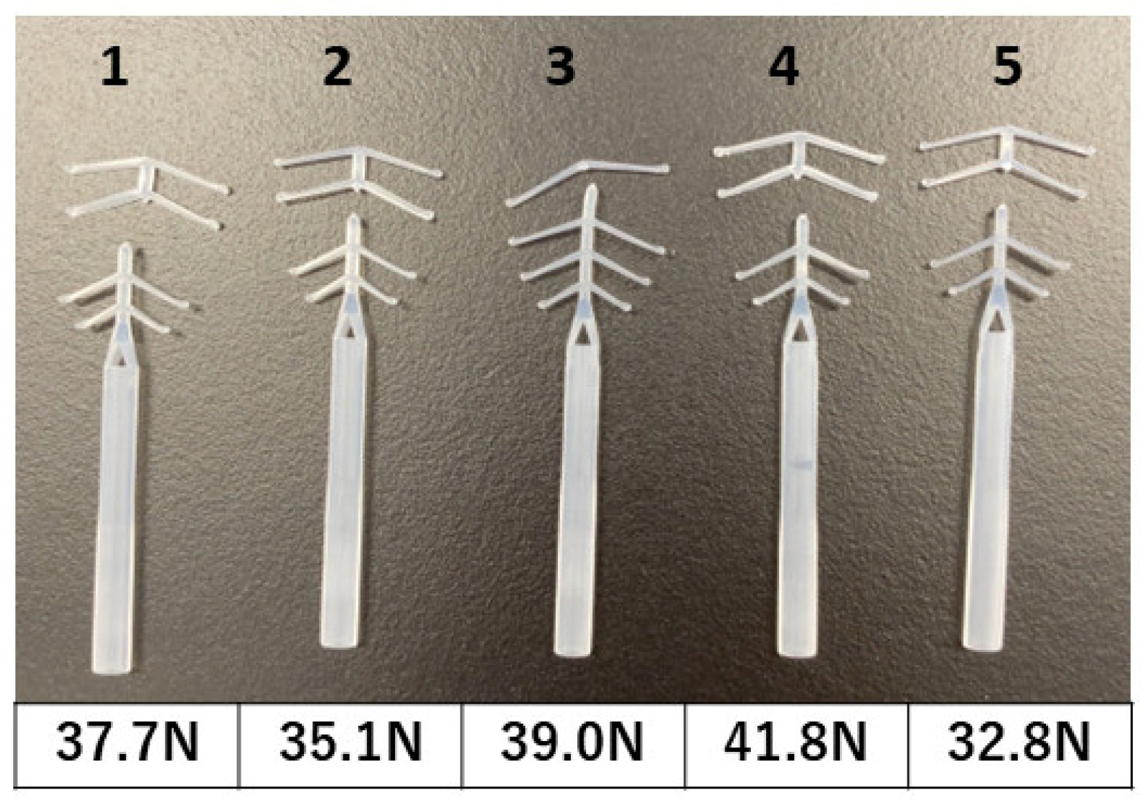 Bioengineering 10 01032 g002