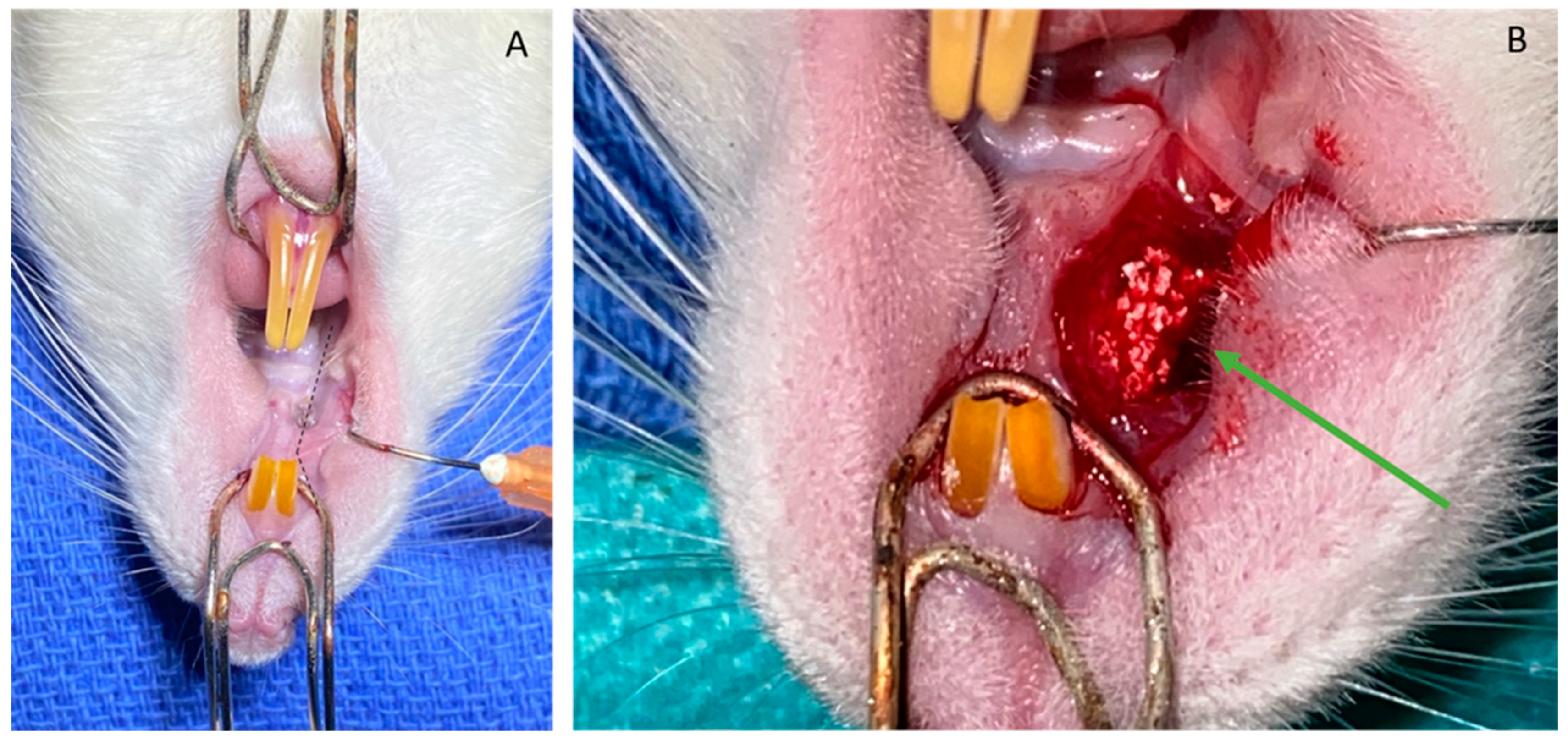 Bioengineering 10 01035 g002