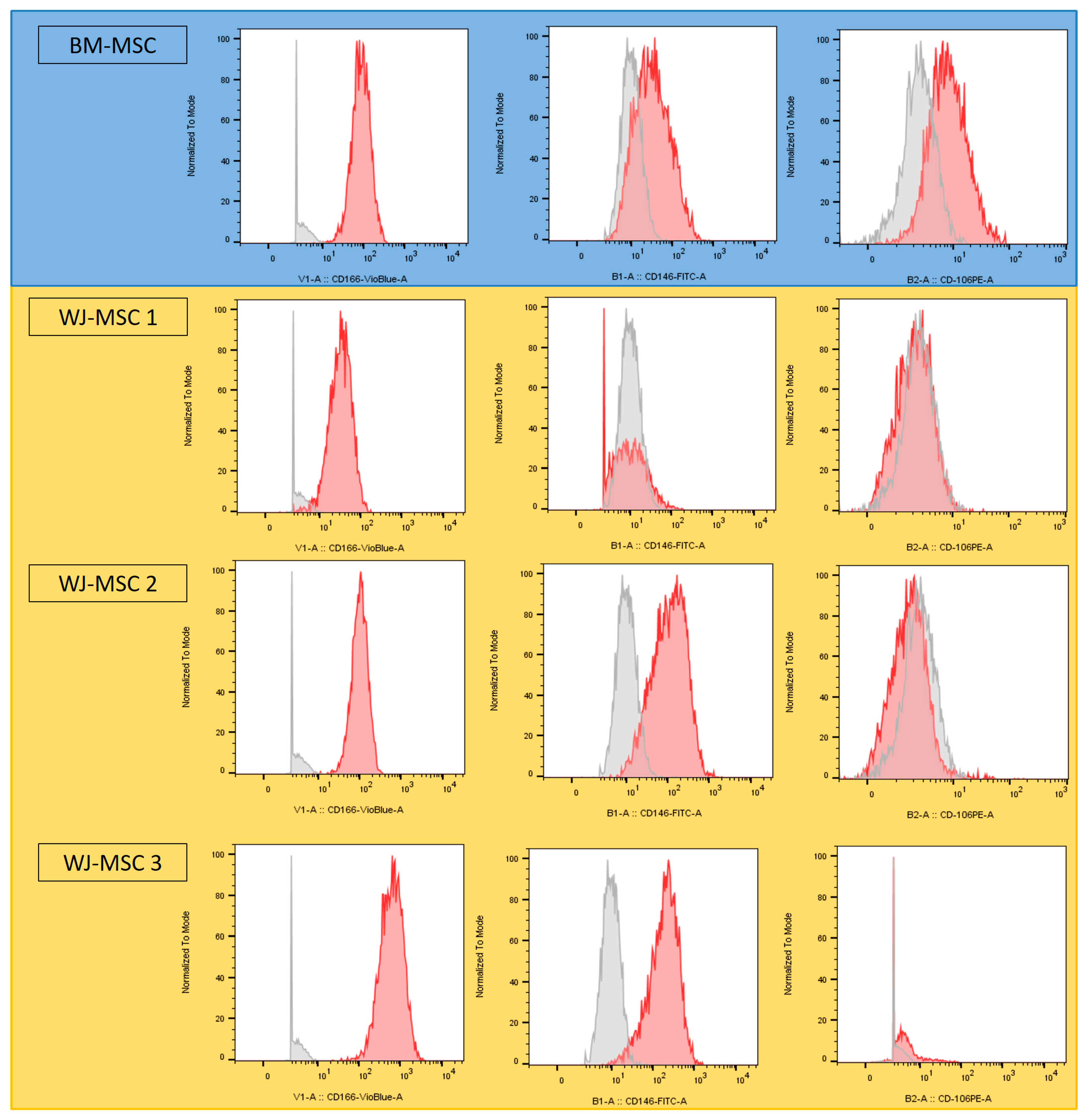 Bioengineering 10 01035 g003