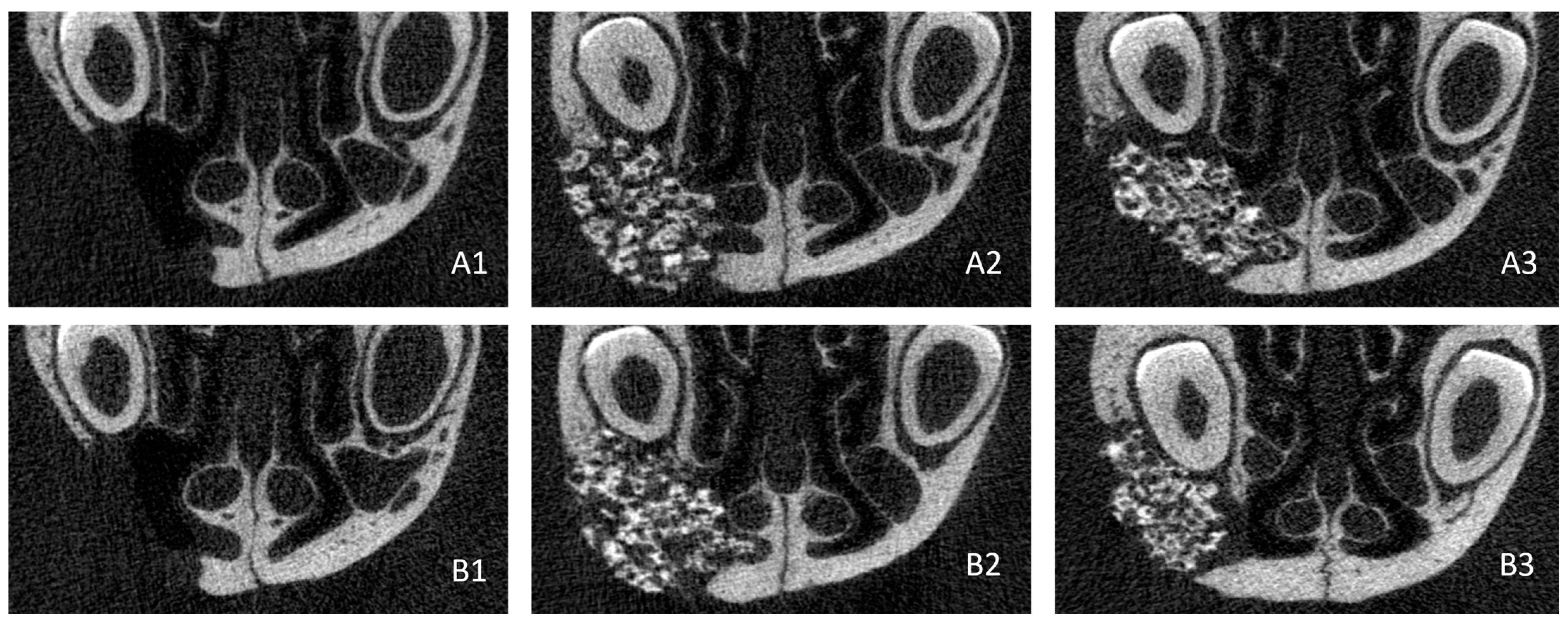 Bioengineering 10 01035 g005