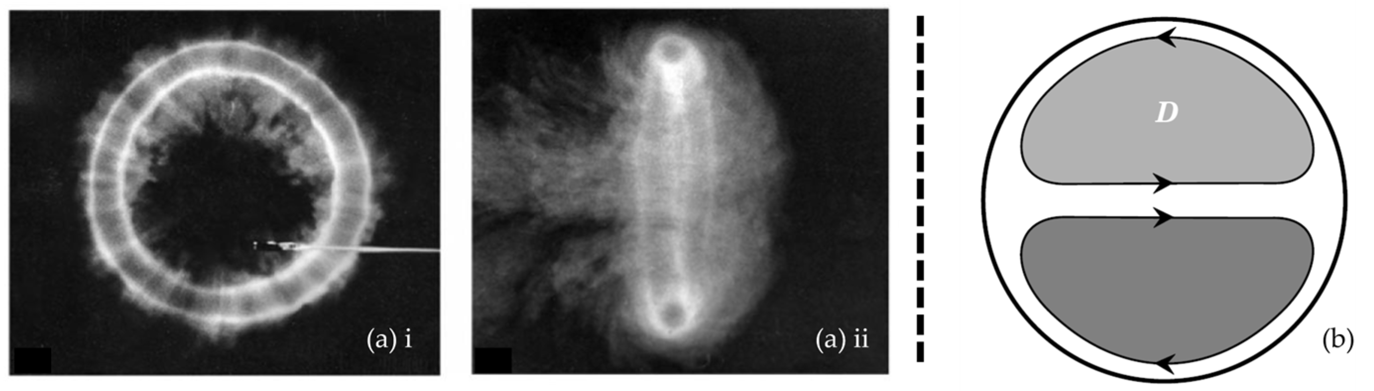 Bioengineering 10 01036 g001