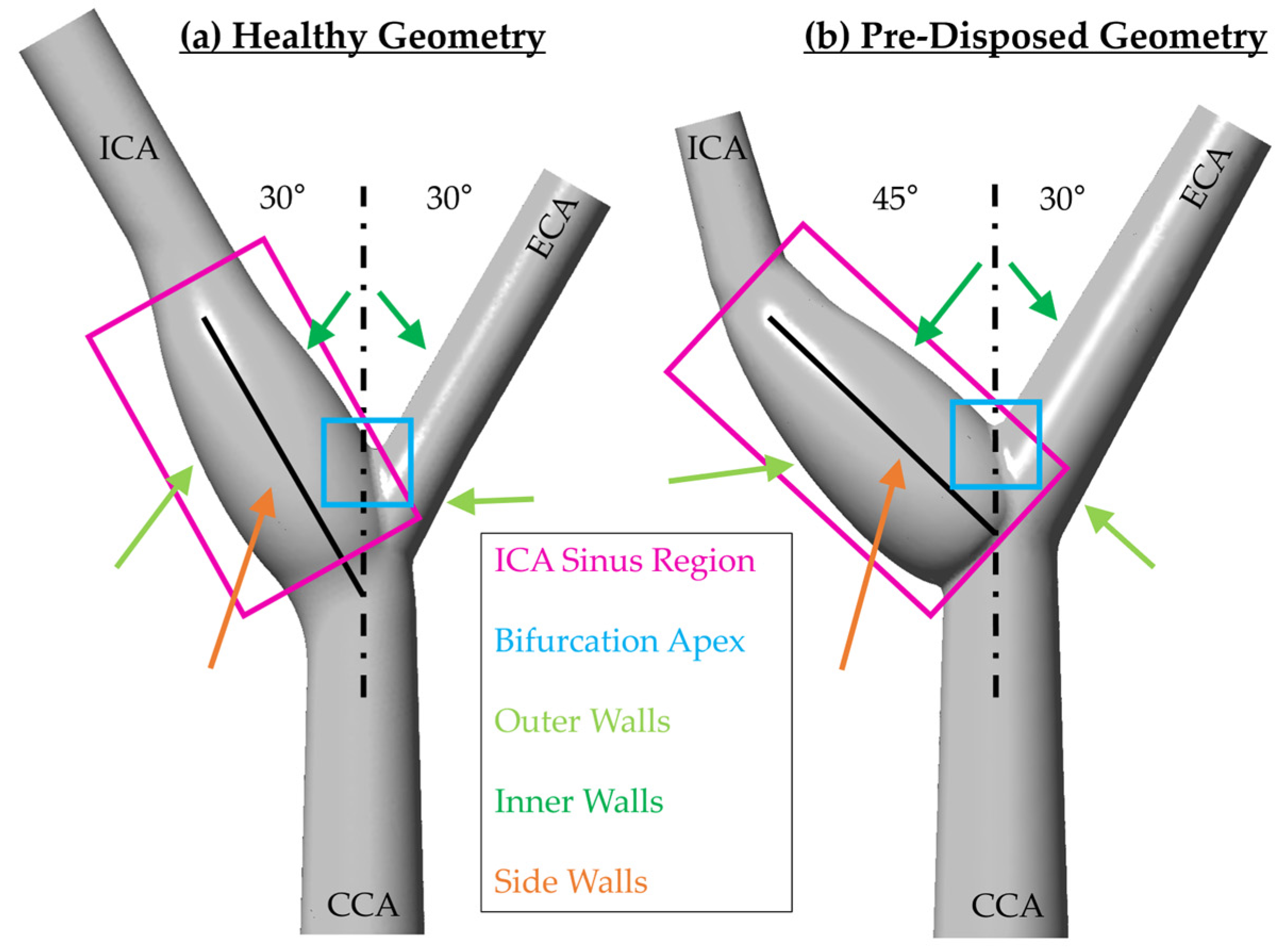 Bioengineering 10 01036 g002
