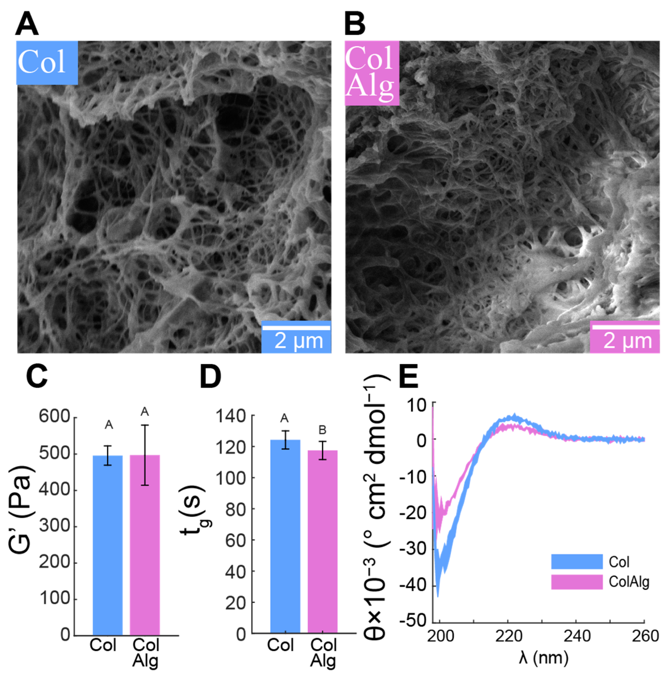 Bioengineering 10 01037 g002