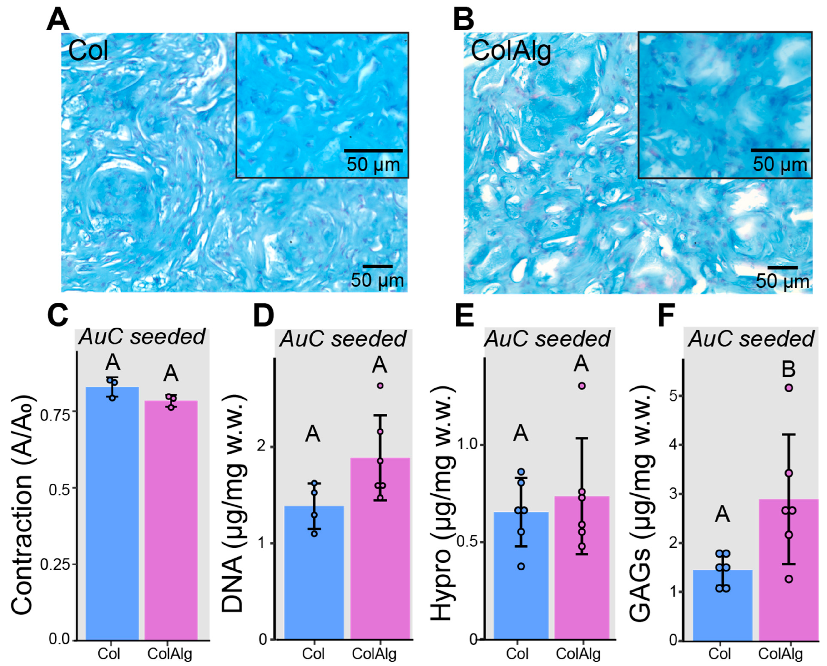 Bioengineering 10 01037 g004