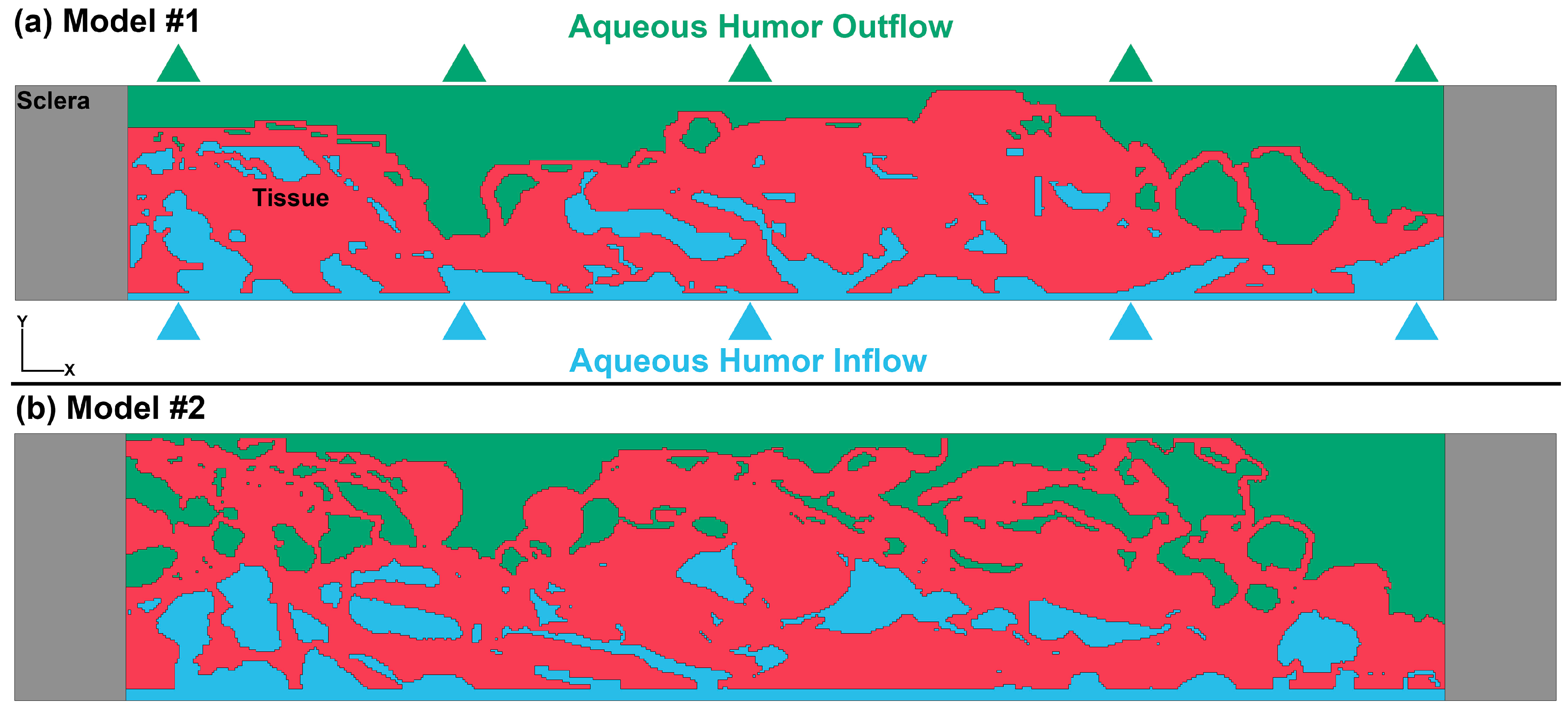 Bioengineering 10 01038 g003