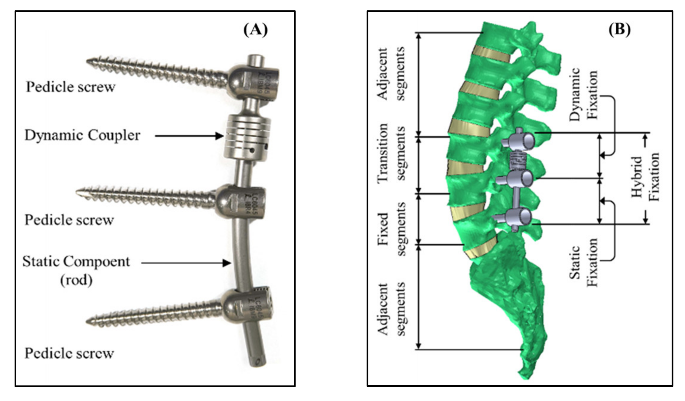 Bioengineering 10 01042 g001 Bioengineering 10 01042 g001