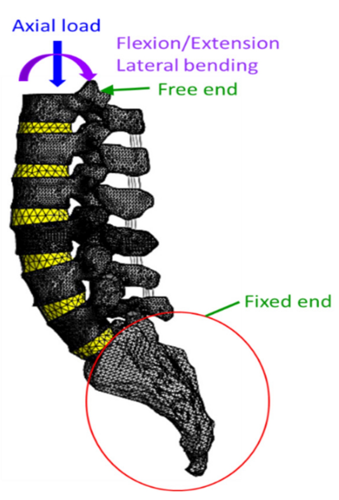 Bioengineering 10 01042 g002 Bioengineering 10 01042 g002
