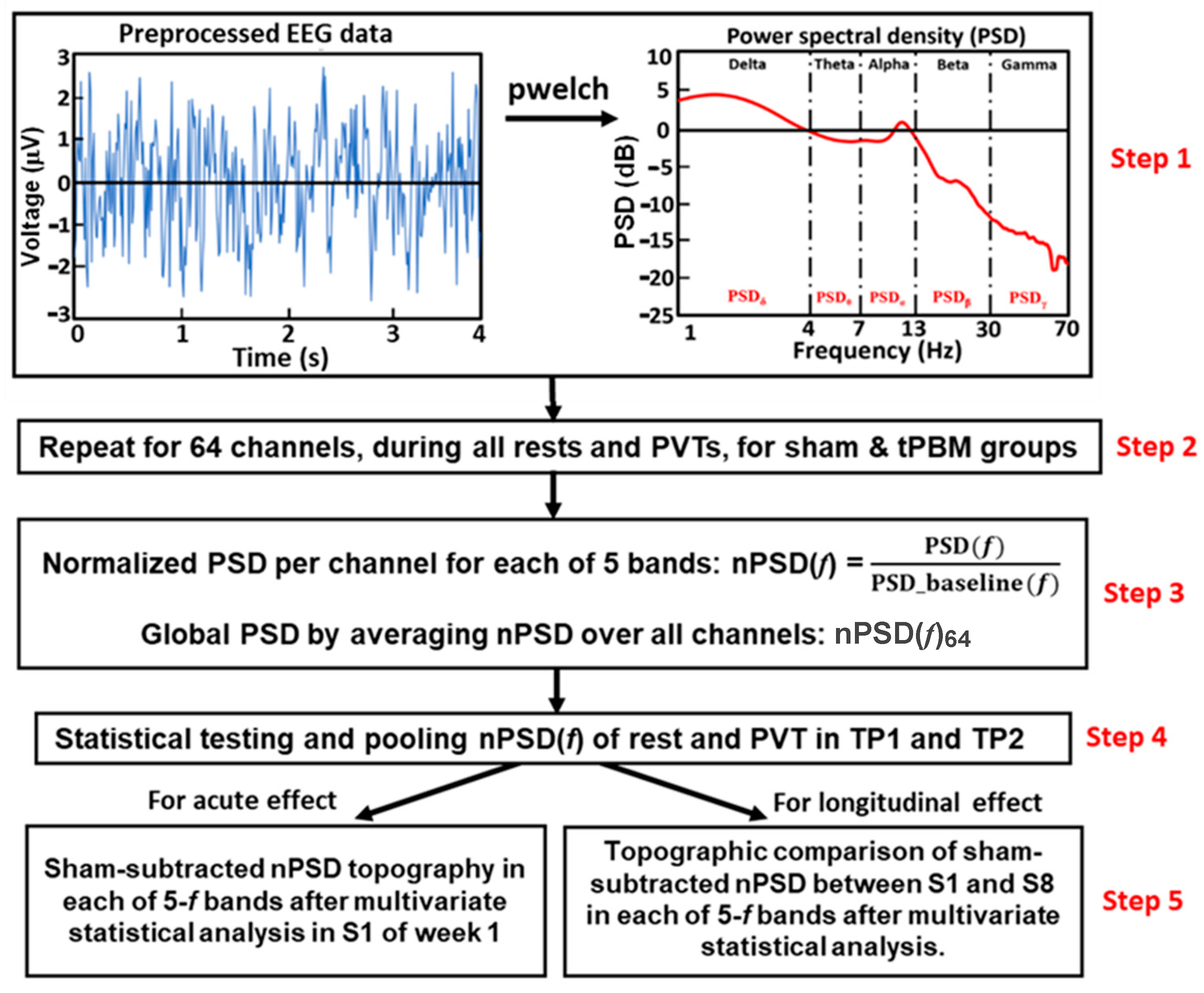 Bioengineering 10 01043 g002