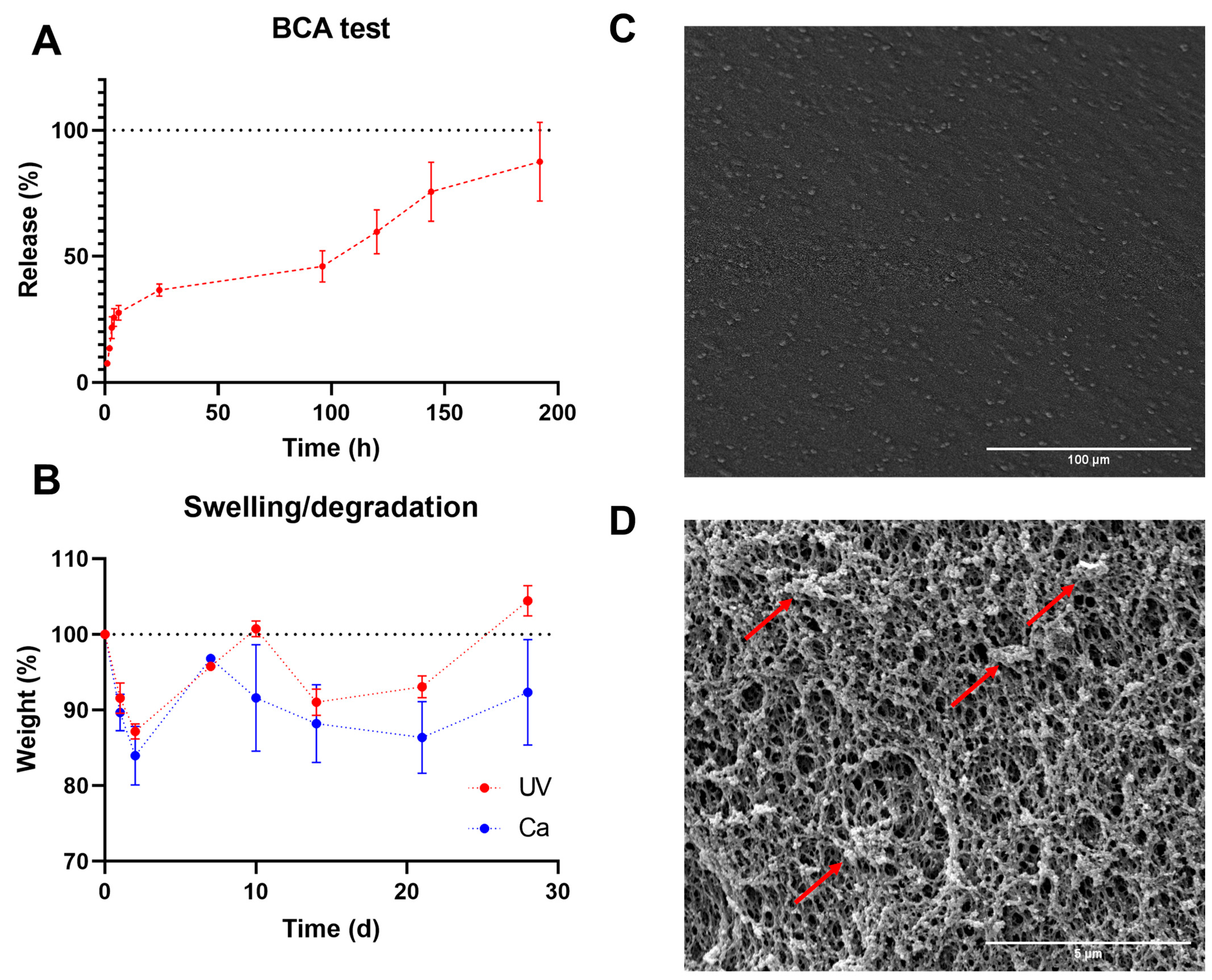 Bioengineering 10 01044 g004