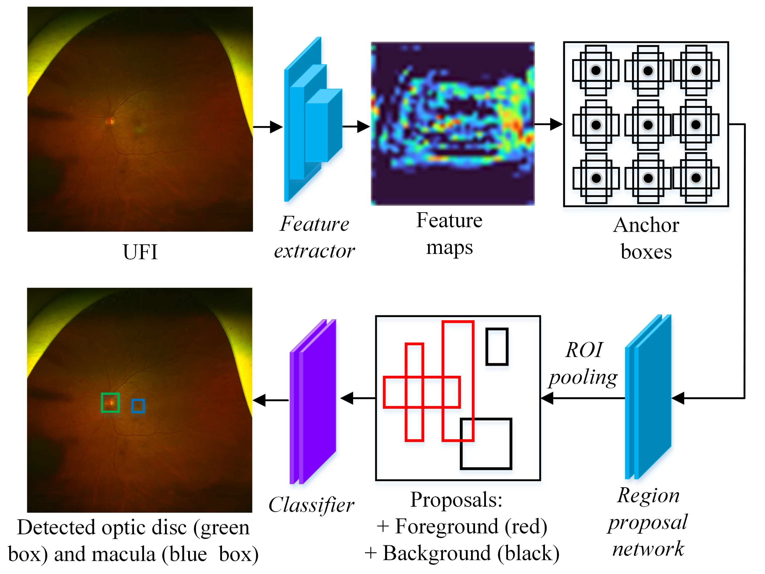 Bioengineering 10 01048 g005