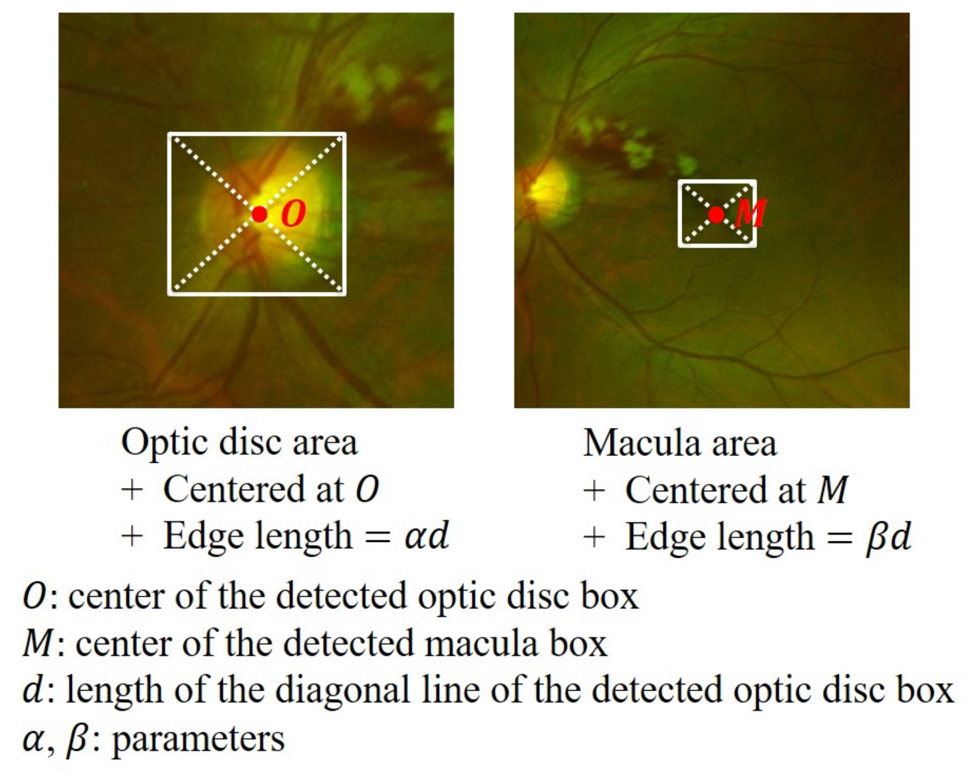 Bioengineering 10 01048 g006